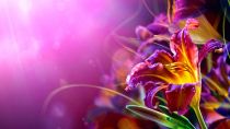 Preview wallpaper ID:131980