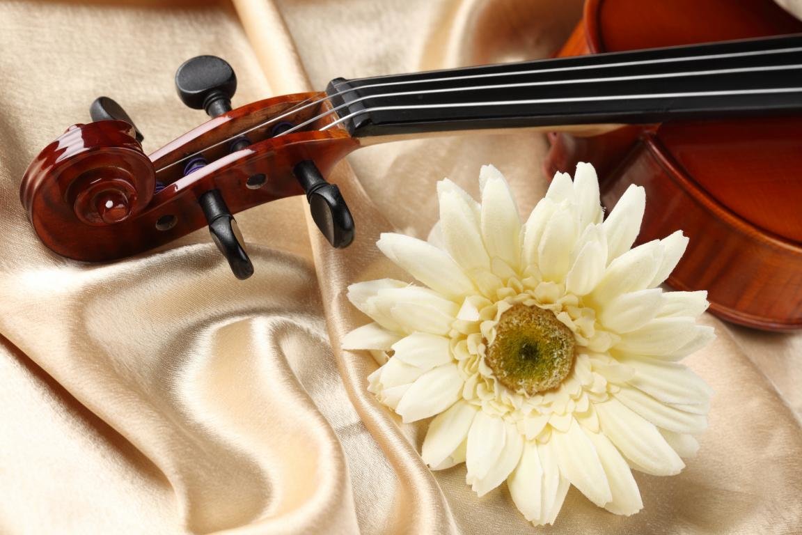 Free download Violin background ID:53576 hd 1152x768 for computer