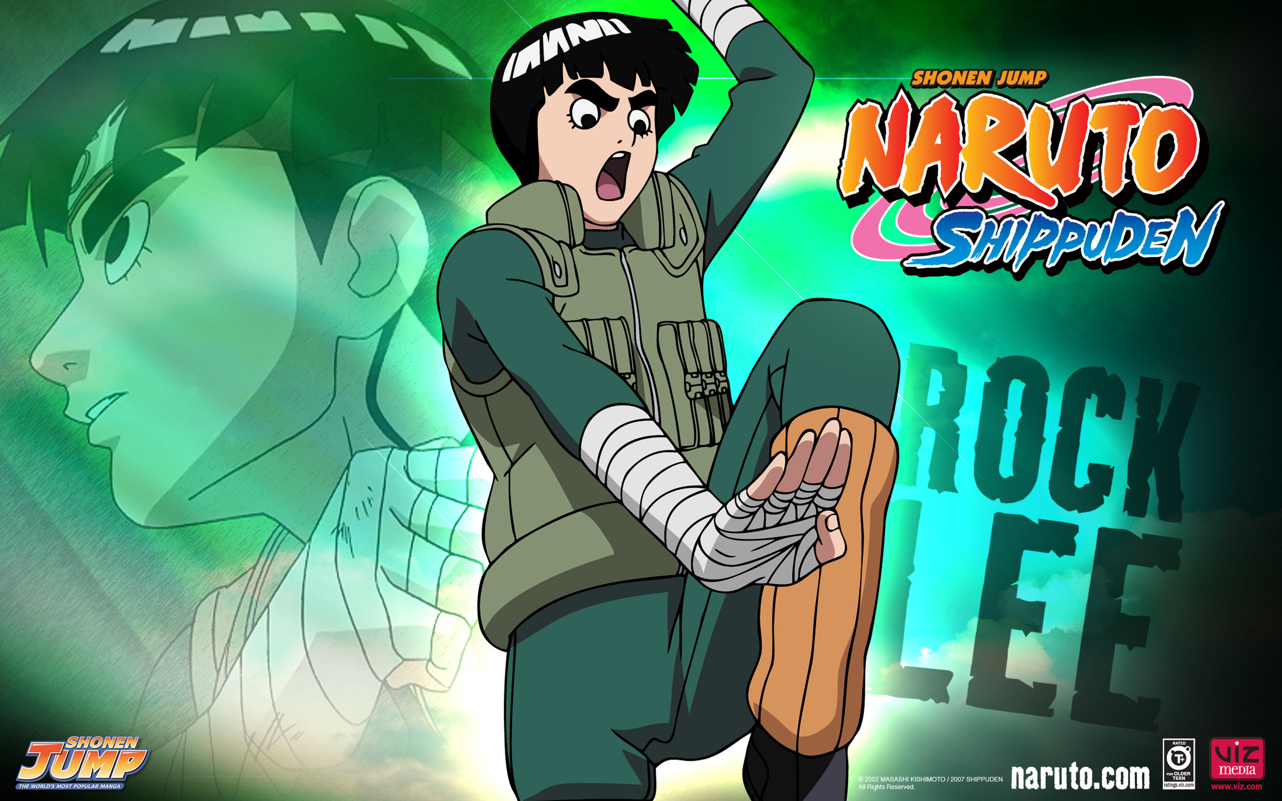 Free Rock Lee high quality wallpaper ID:396561 for hd 2560x1600 PC