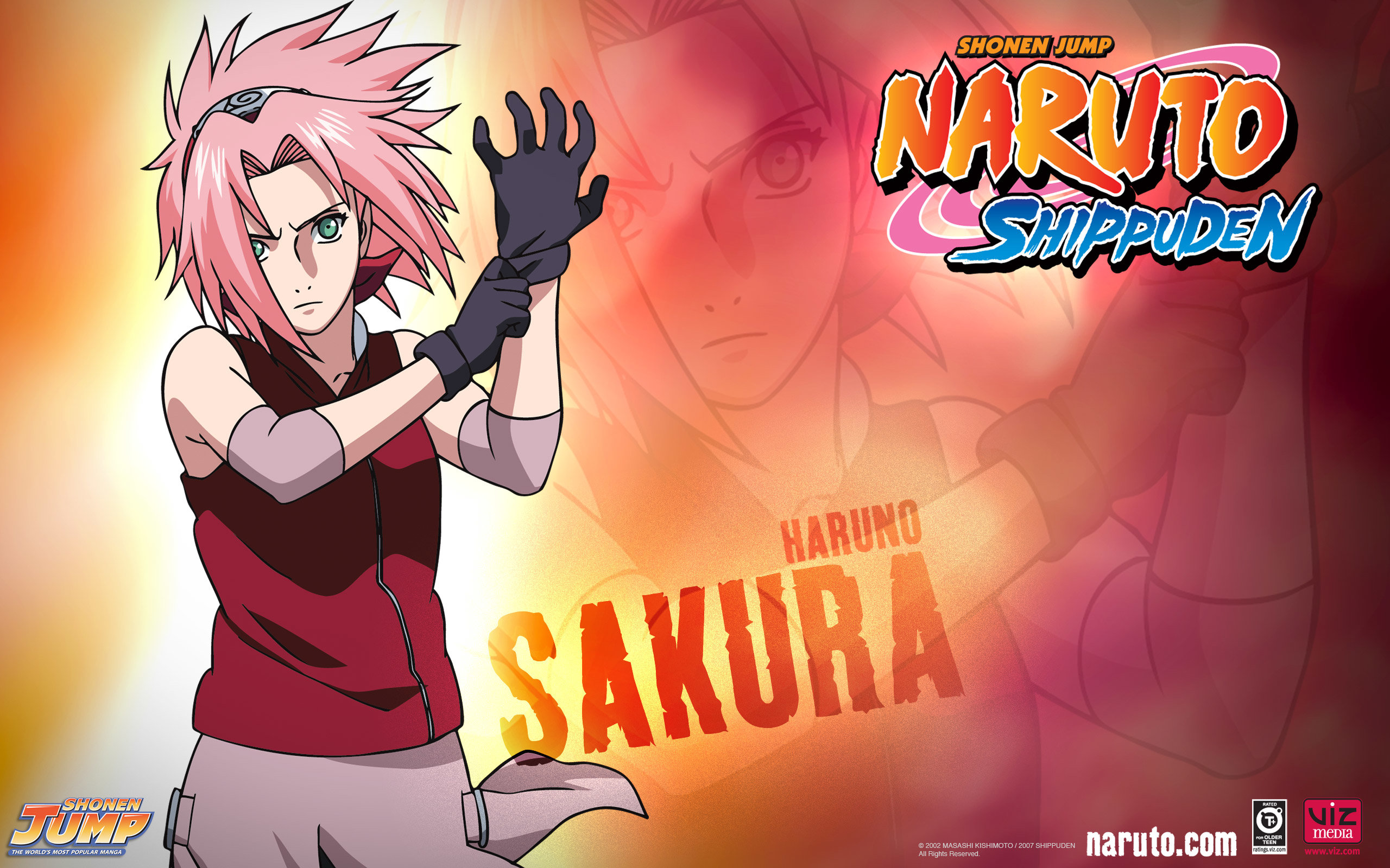 Awesome Sakura Haruno free wallpaper ID:395716 for hd 2560x1600 desktop