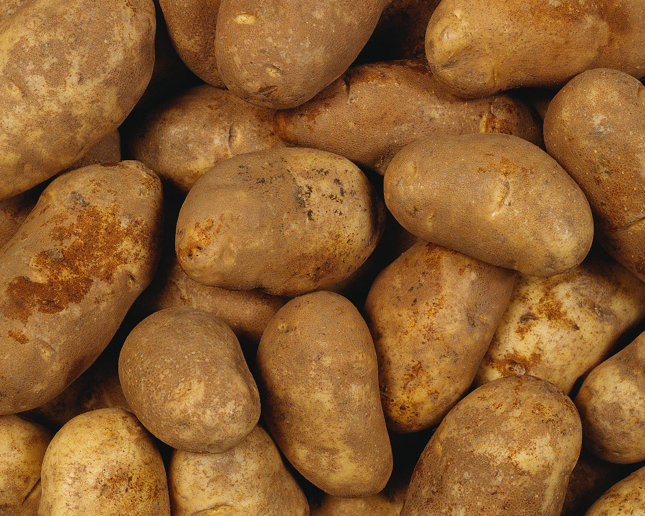 Download hd 1280x1024 Potato PC background ID:315028 for free
