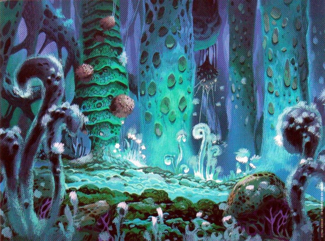 Free Nausicaa Of The Valley Of The Wind high quality wallpaper ID:315395 for hd 1120x832 computer