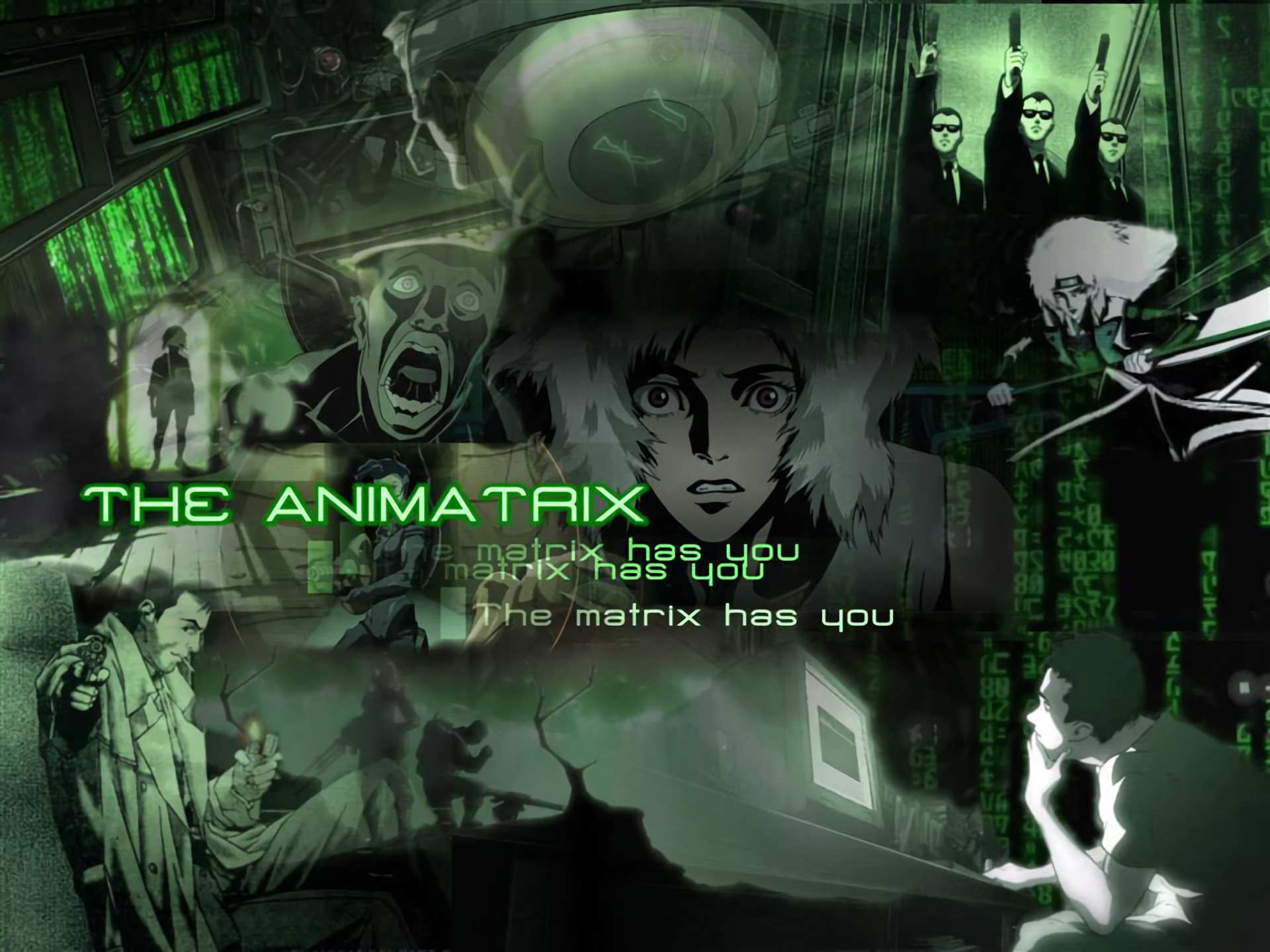Awesome The Animatrix free background ID:25703 for hd 1920x1440 PC