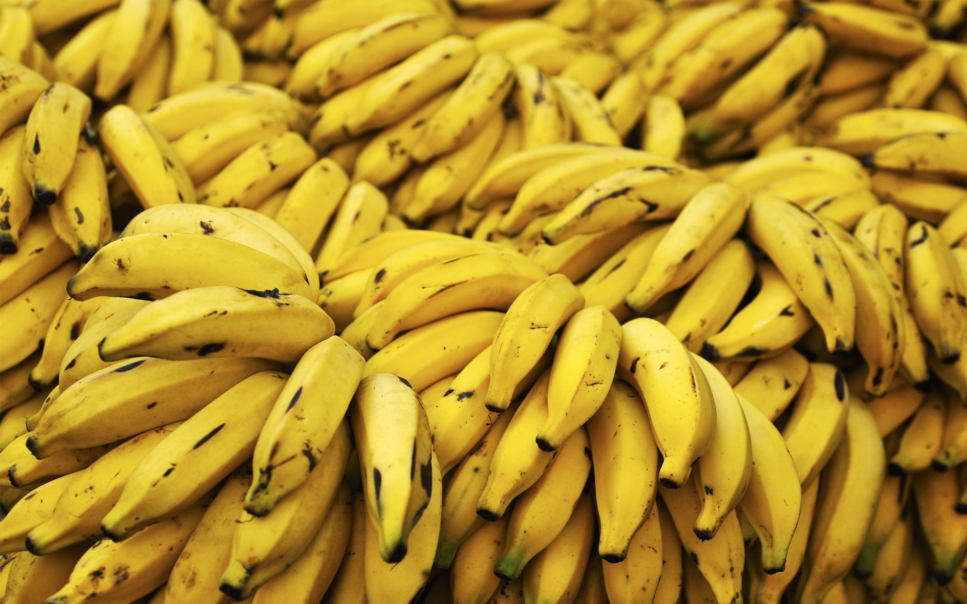 Awesome Banana free background ID:463170 for hd 1920x1200 PC