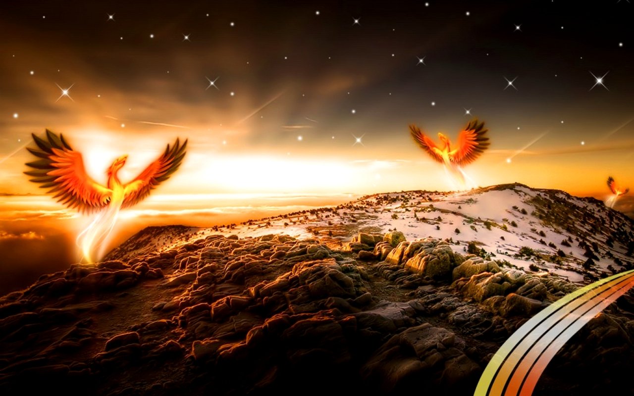 High resolution Phoenix hd 1280x800 background ID:100490 for PC