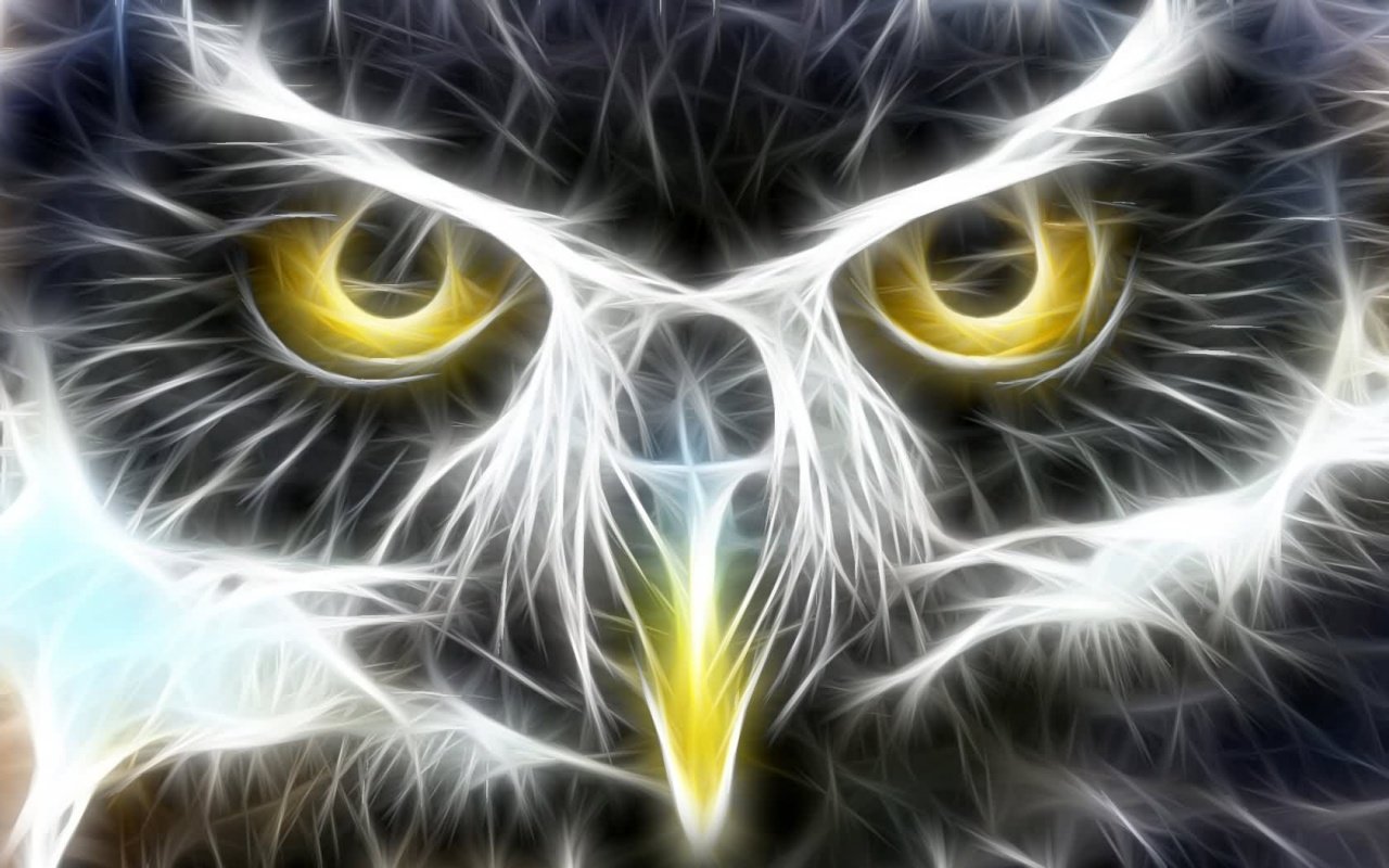Free Owl high quality background ID:237403 for hd 1280x800 desktop