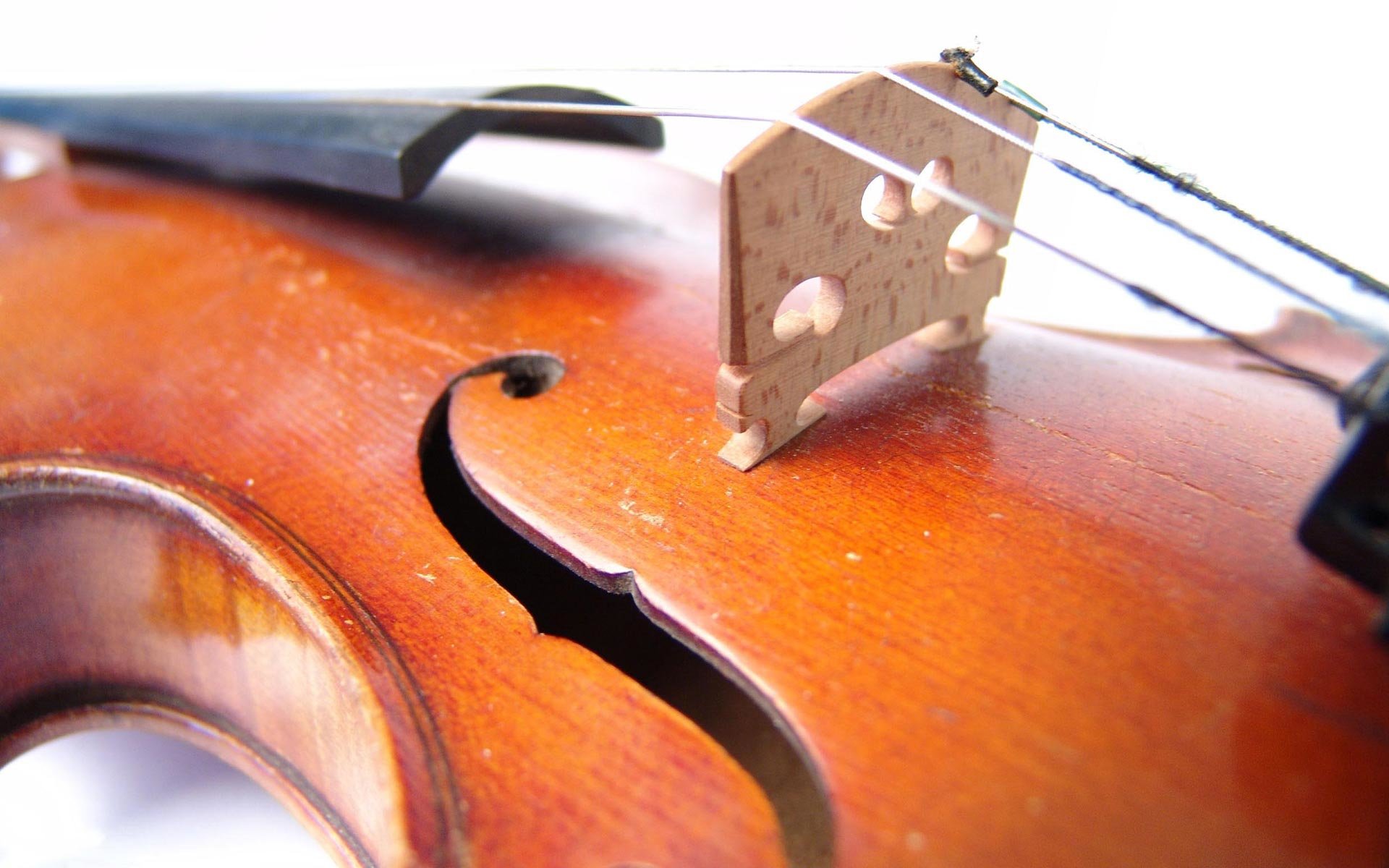 Best Violin background ID:53533 for High Resolution hd 1920x1200 computer