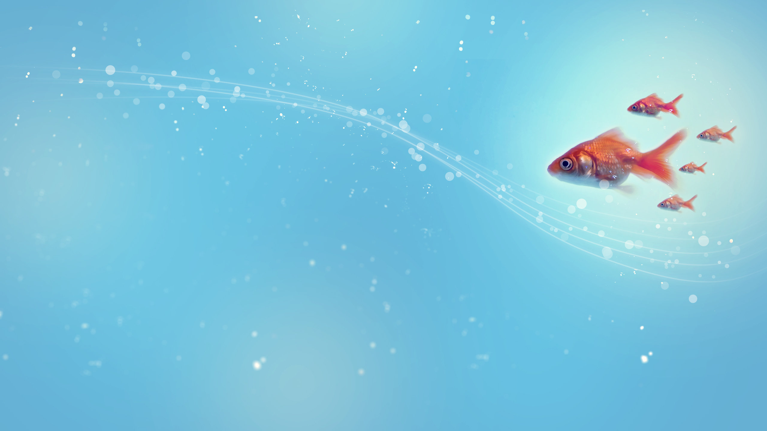 Awesome Goldfish free wallpaper ID:464080 for hd 2560x1440 PC
