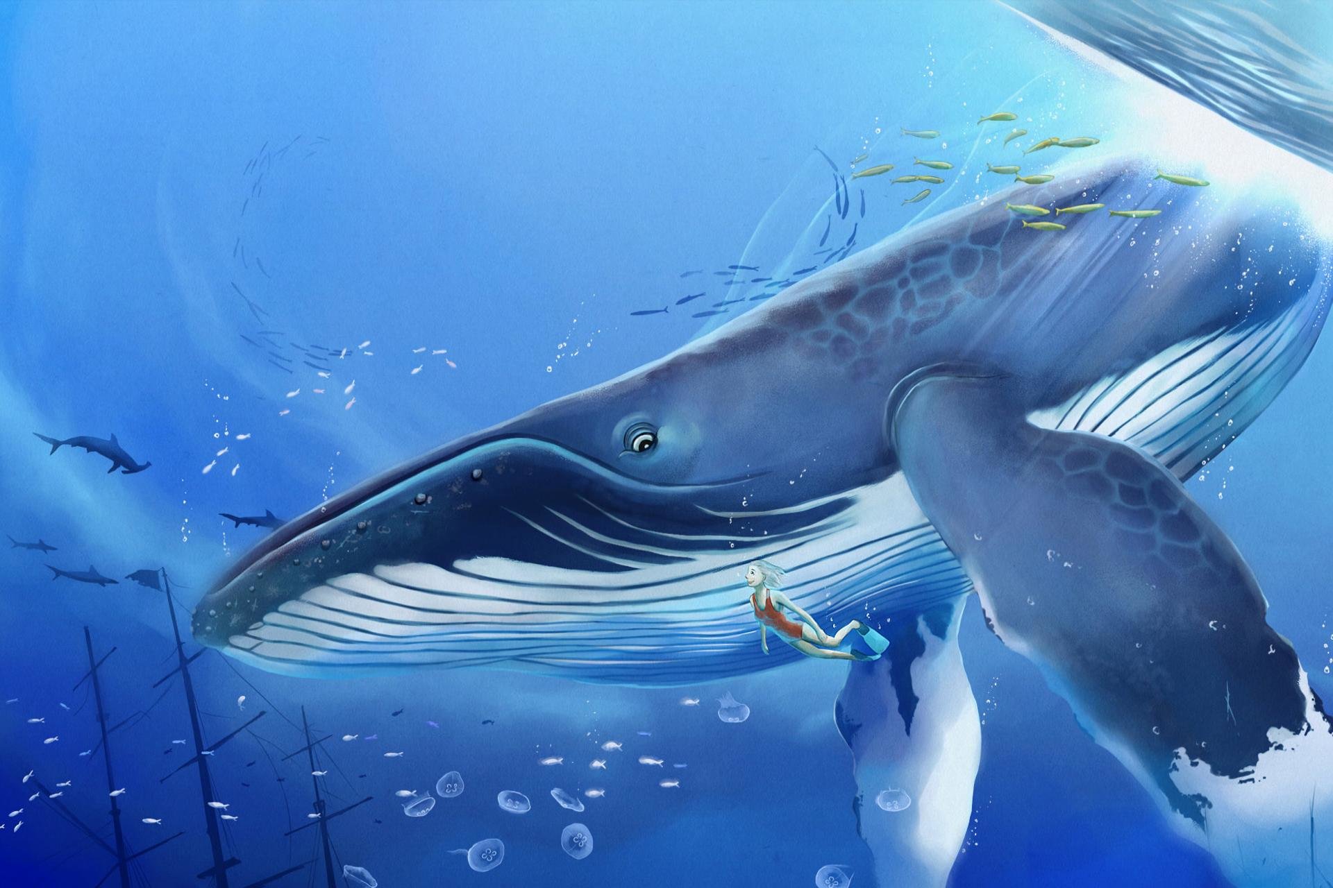 High resolution Whale Fantasy hd 1920x1280 wallpaper ID:387405 for PC