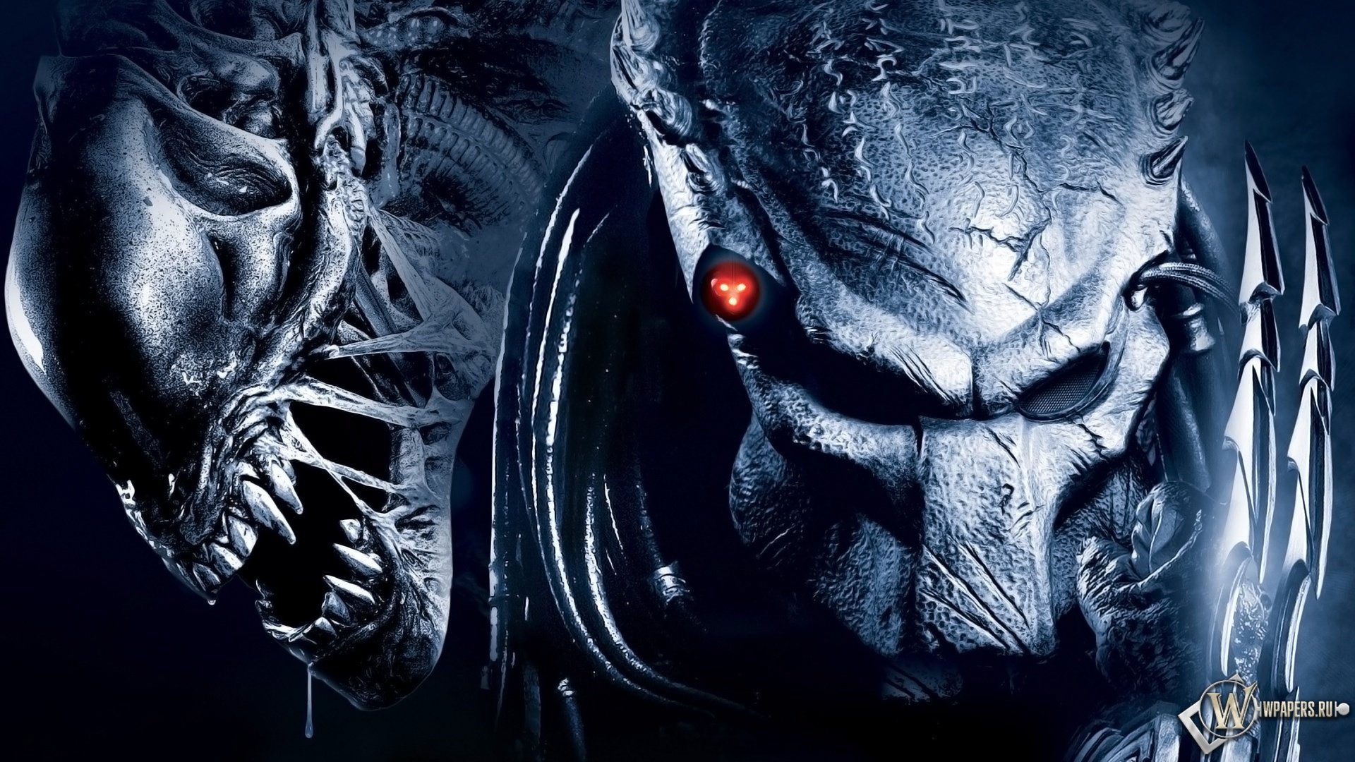 High resolution AVP: Alien Vs. Predator movie 1080p wallpaper ID:270181 for PC
