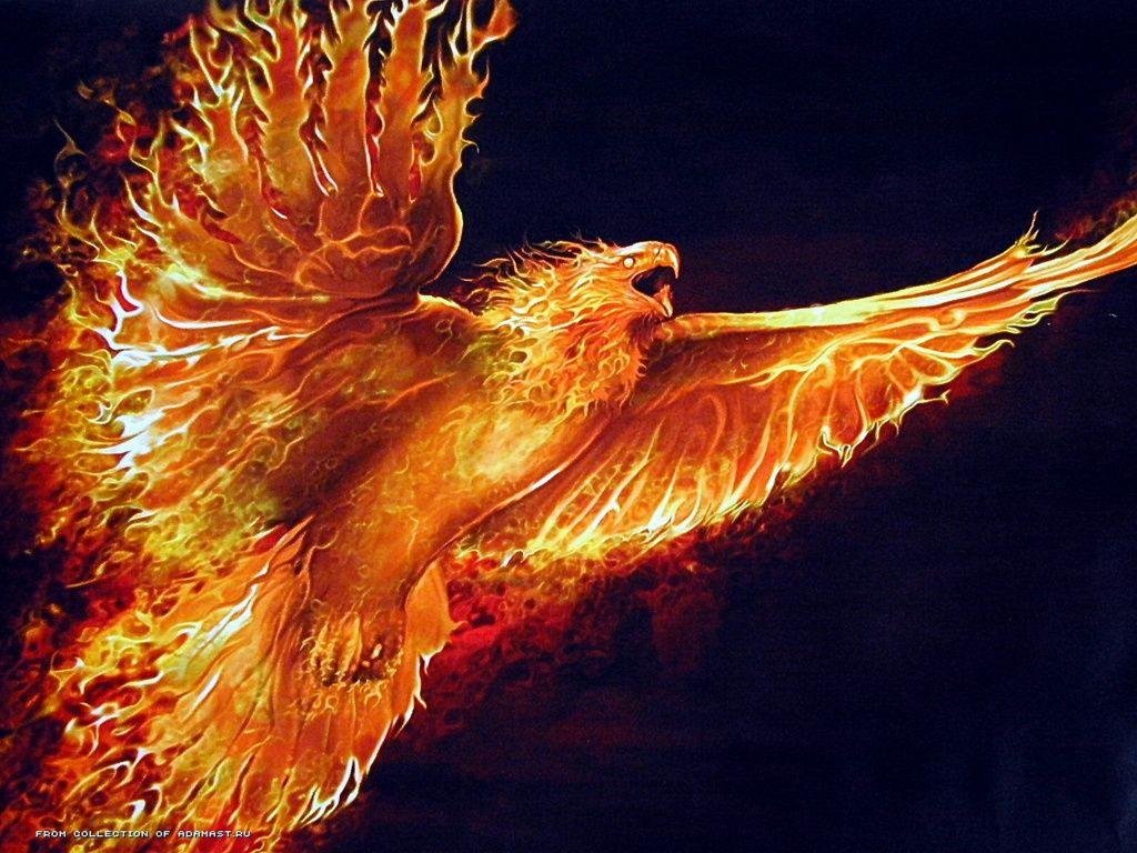 Free Phoenix high quality background ID:100464 for hd 1024x768 computer