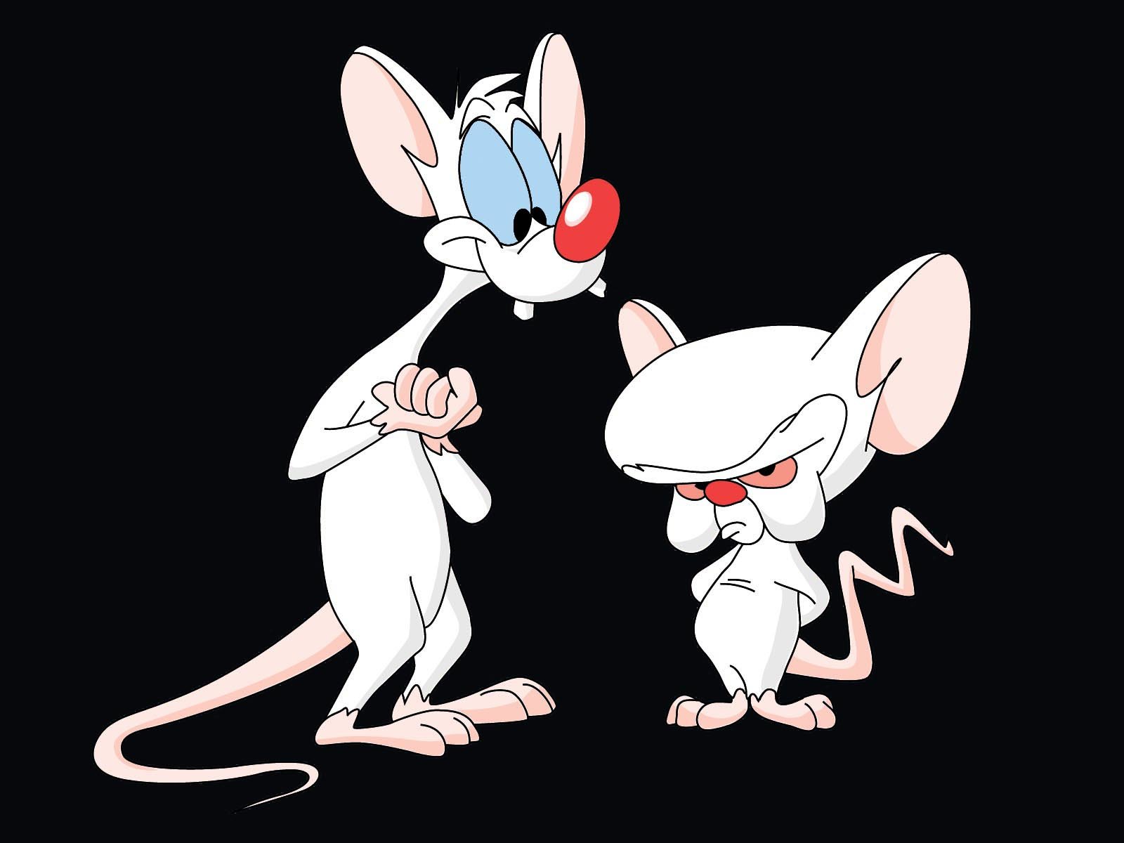 Download hd 1600x1200 Pinky And The Brain desktop background ID:48561 for free