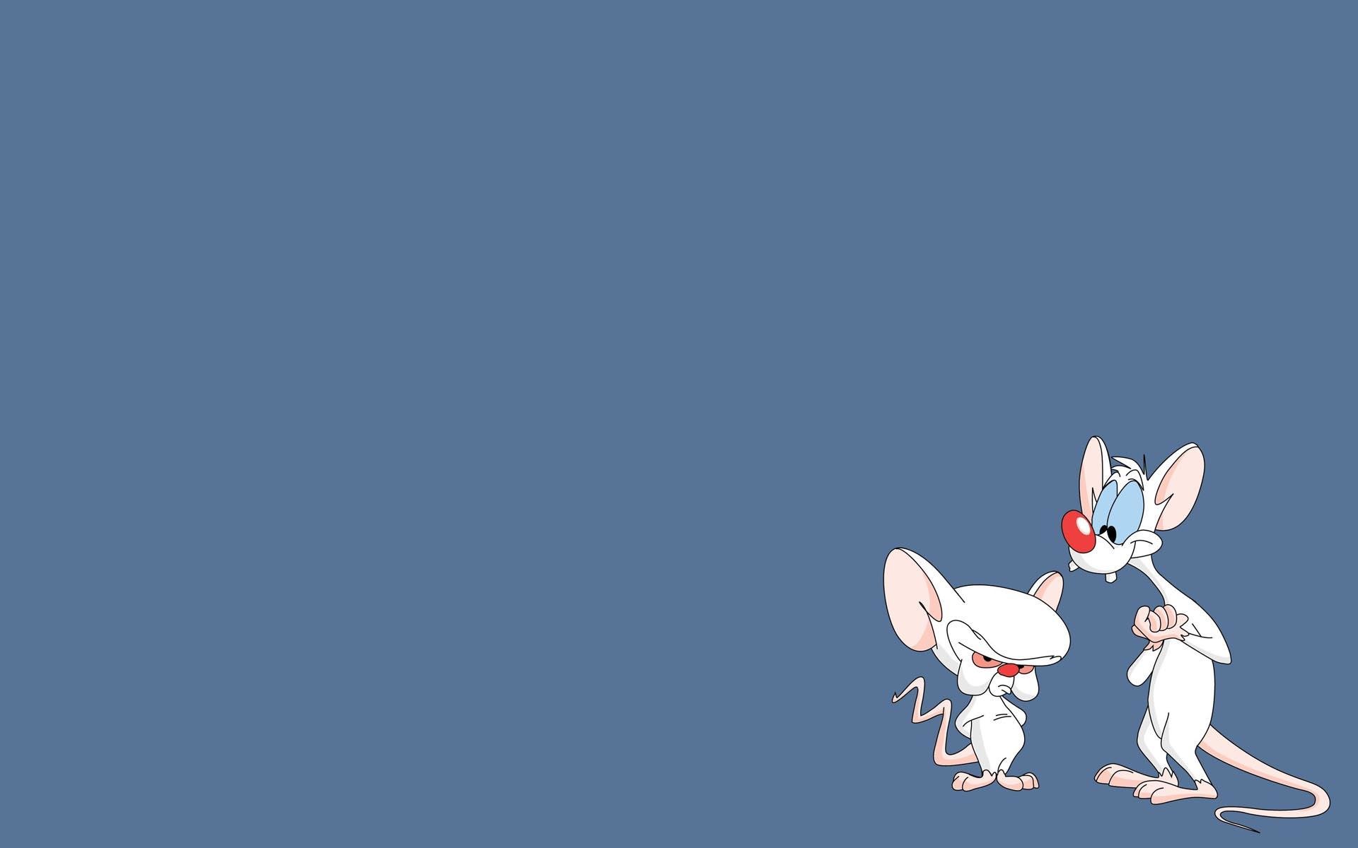 Best Pinky And The Brain background ID:48563 for High Resolution hd 1920x1200 computer
