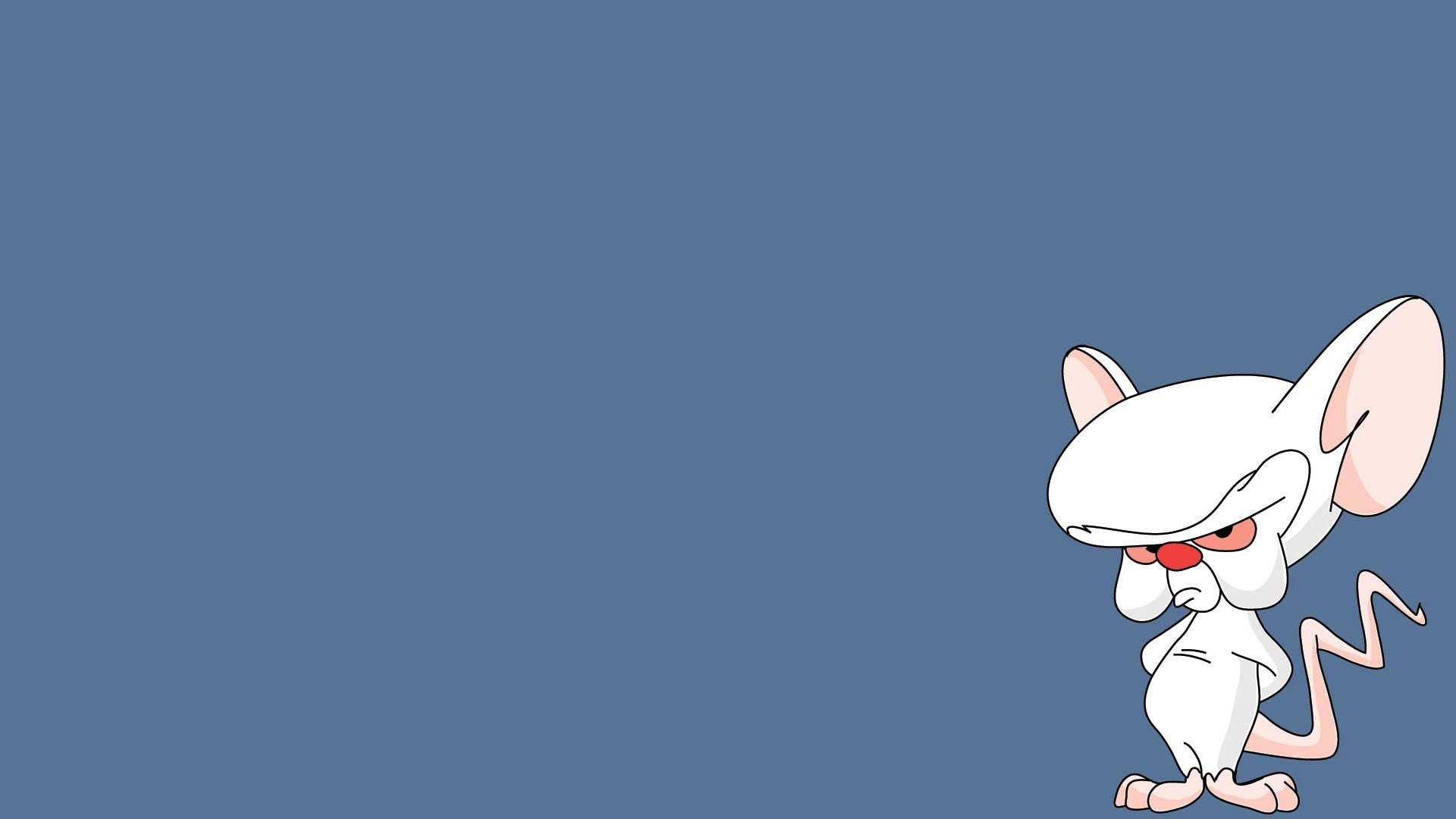 Free Pinky And The Brain high quality wallpaper ID:48564 for hd 1080p computer