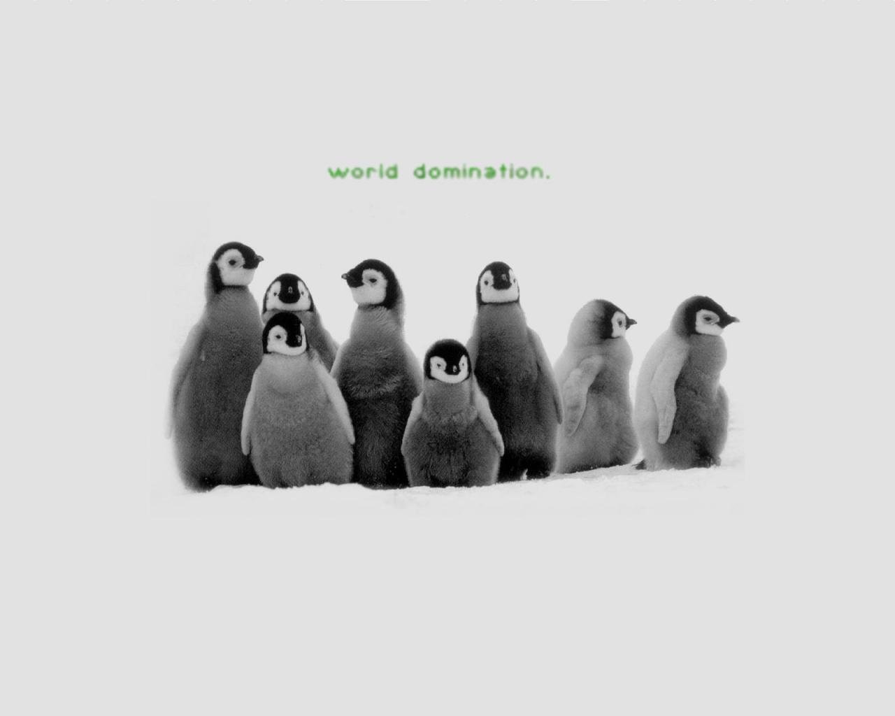 Download hd 1280x1024 Penguin computer background ID:149230 for free