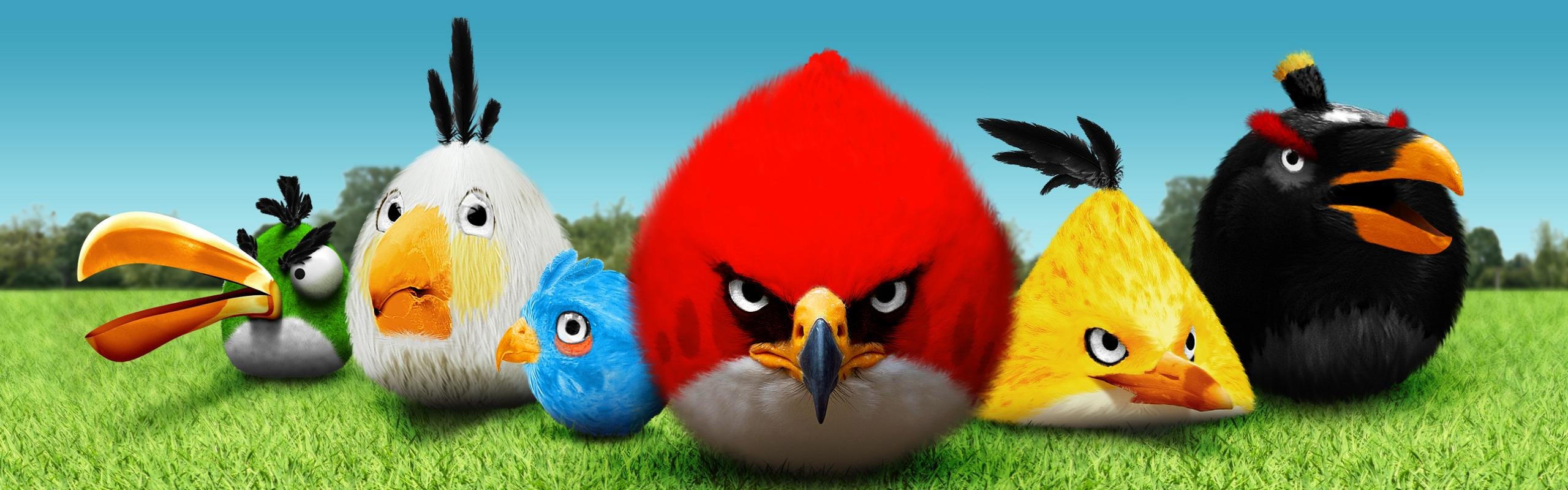 Download dual screen 2560x800 Angry Birds computer wallpaper ID:256703 for free