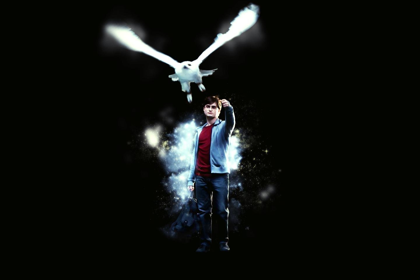 High resolution Harry Potter And The Deathly Hallows: Part 1 hd 1440x960 background ID:144636 for PC
