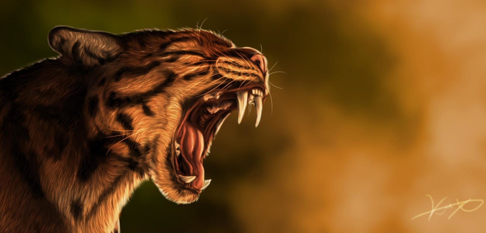 Awesome Wildcat free wallpaper ID:467267 for hd 1600x768 desktop