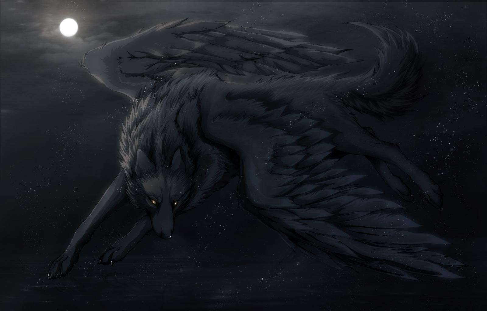 Free download Wolf Fantasy background ID:346524 hd 1600x1024 for computer