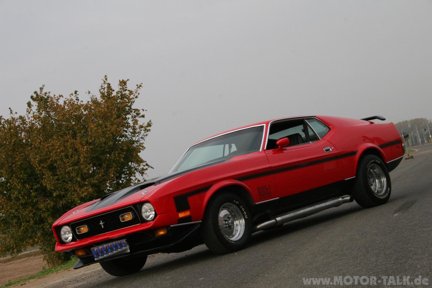 Best Ford Mustang Mach 1 background ID:394063 for High Resolution hd 1440x960 PC