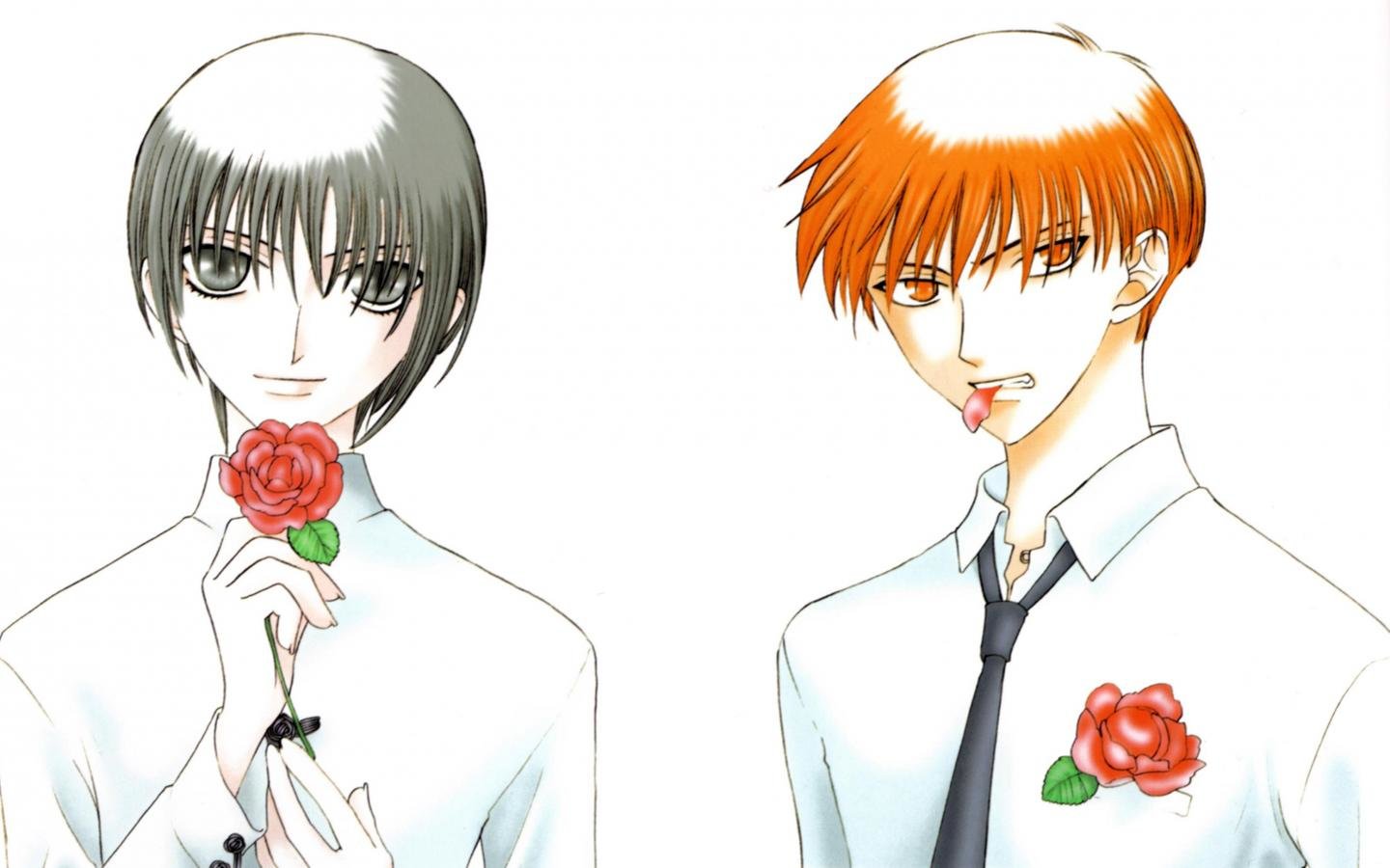 High resolution Fruits Basket hd 1440x900 background ID:135447 for PC