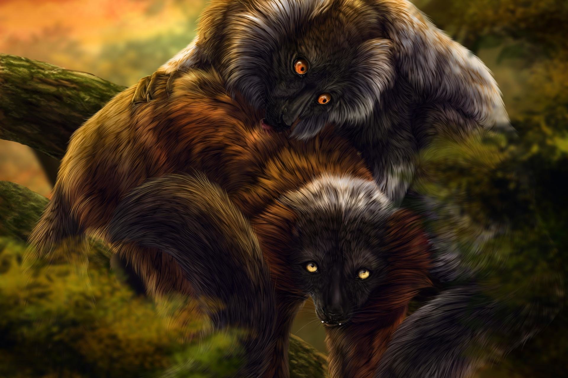 Download hd 1920x1280 Lemur PC background ID:53198 for free