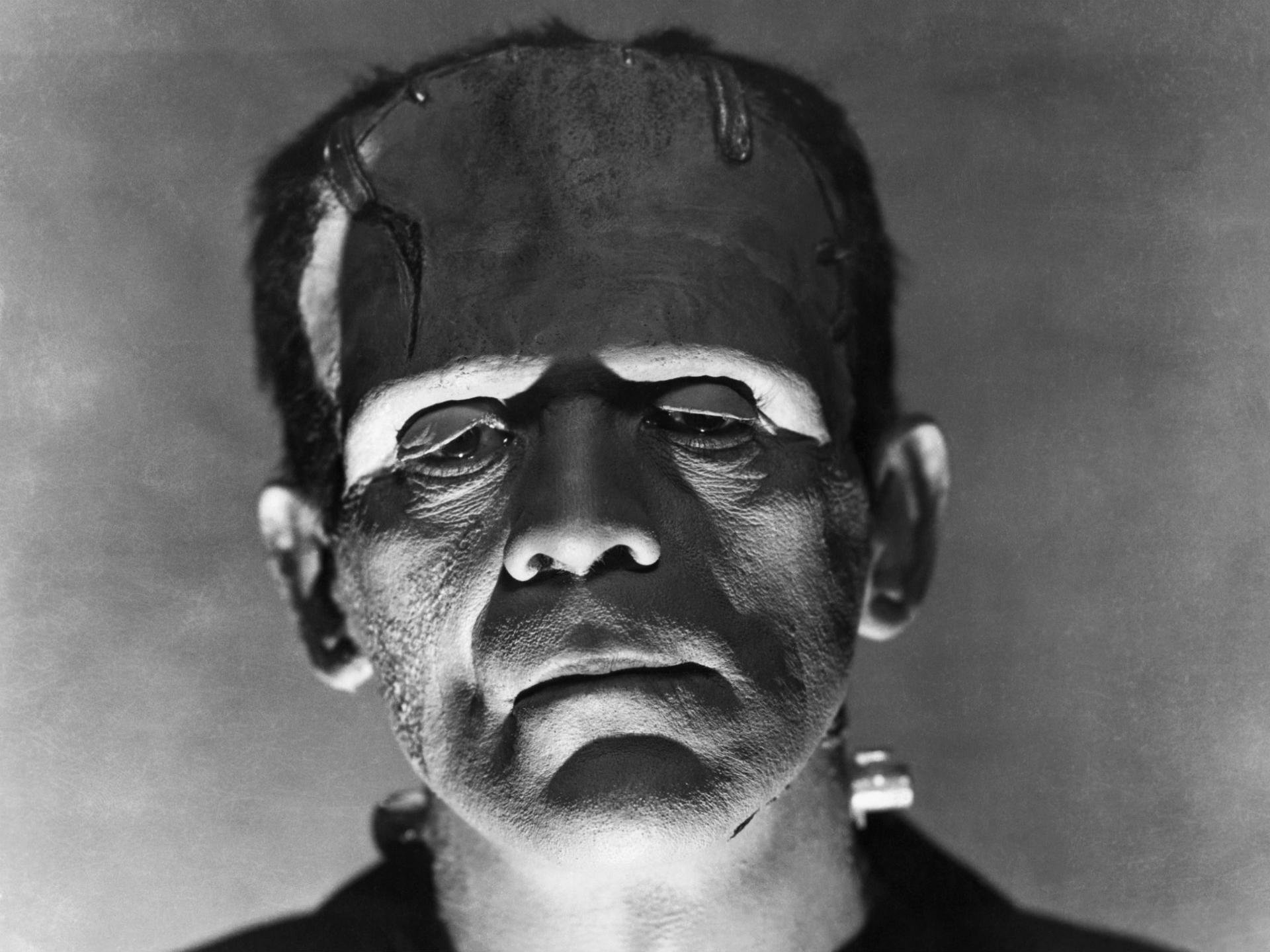 Free download The Bride Of Frankenstein background ID:186558 hd 1920x1440 for computer