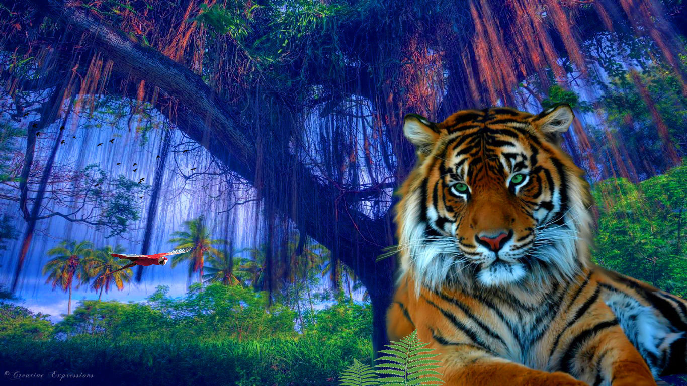 Best Tiger background ID:115620 for High Resolution laptop desktop