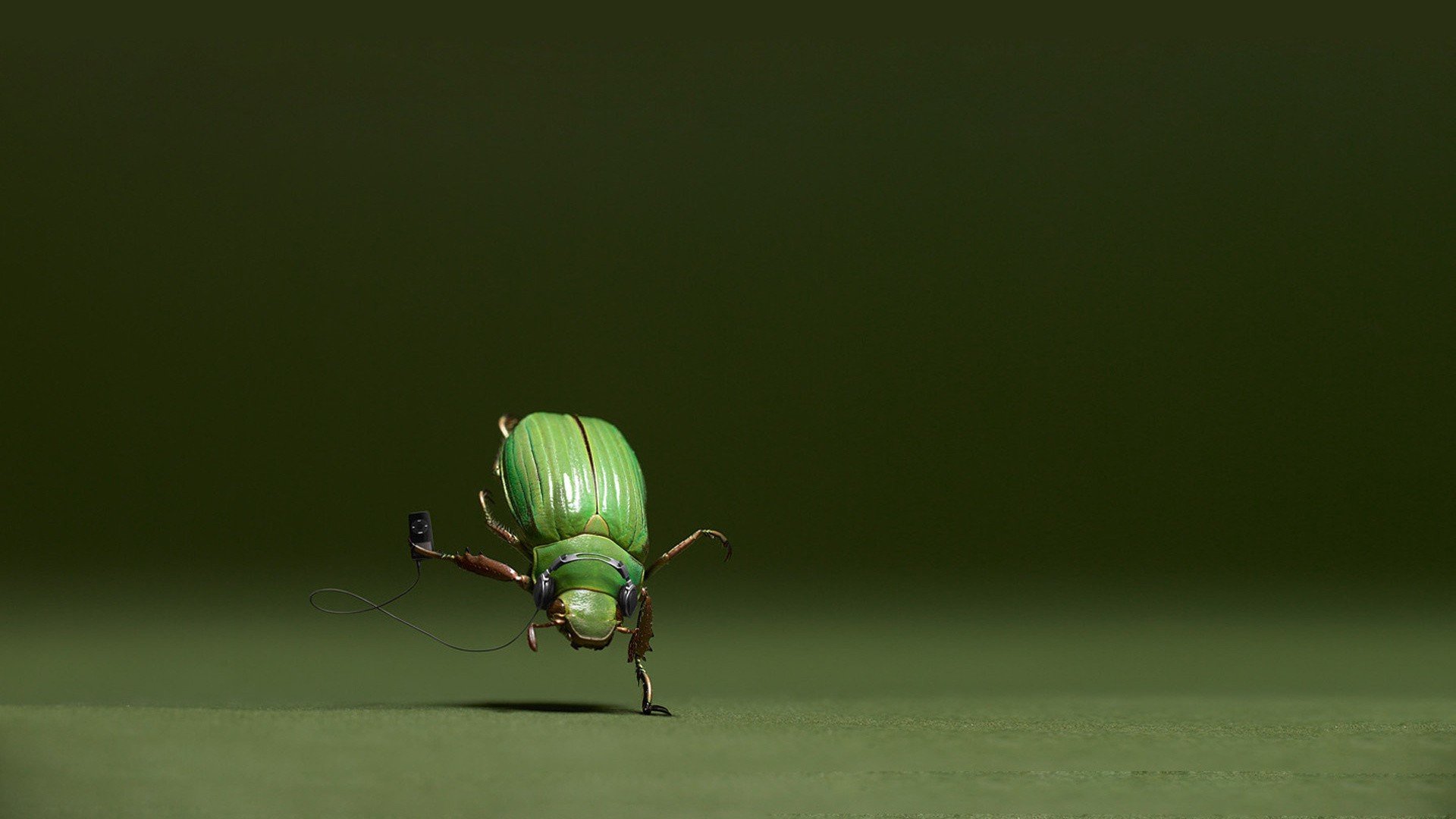Download full hd 1920x1080 Beetle computer background ID:421545 for free
