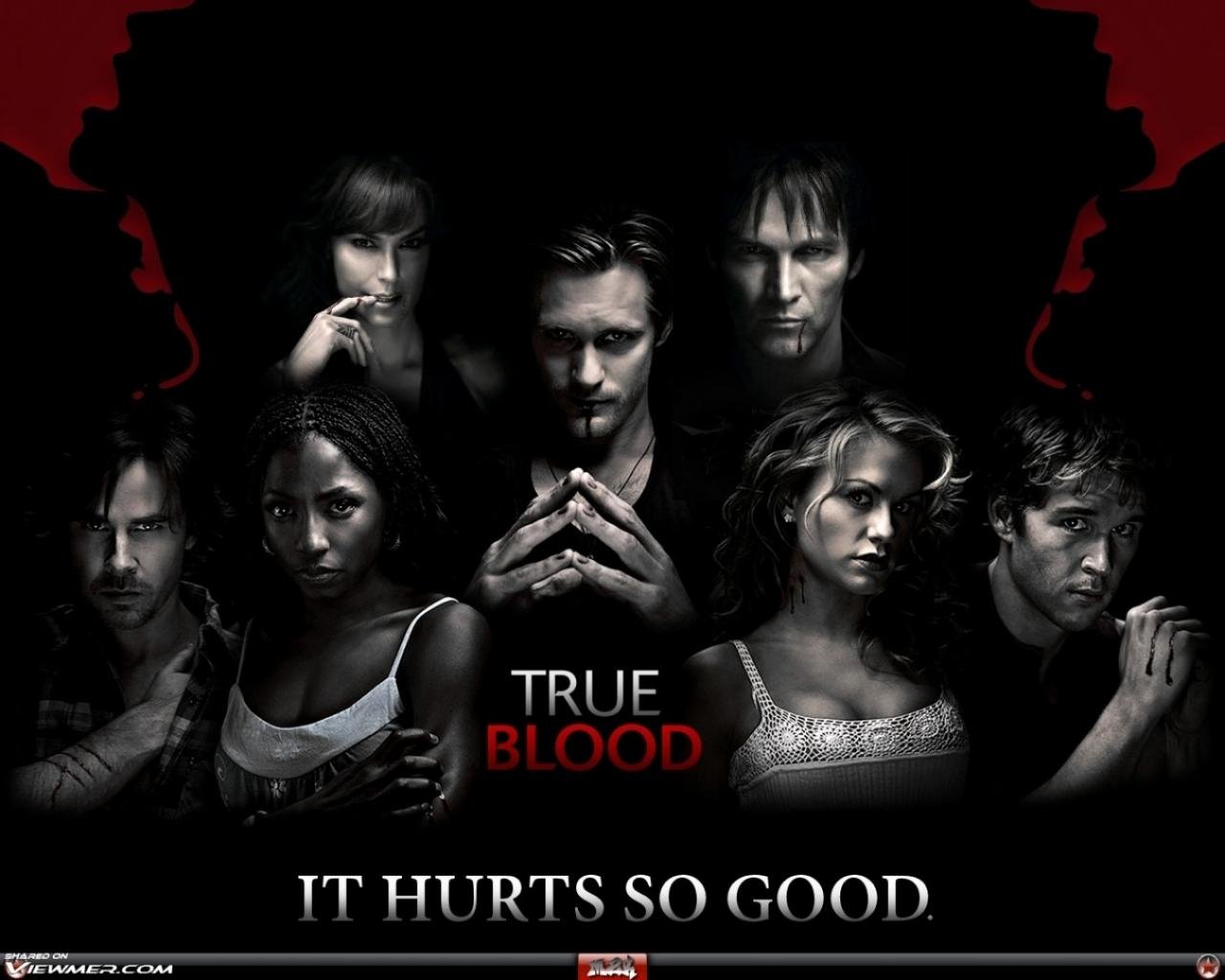 Free download True Blood wallpaper ID:232666 hd 1280x1024 for computer