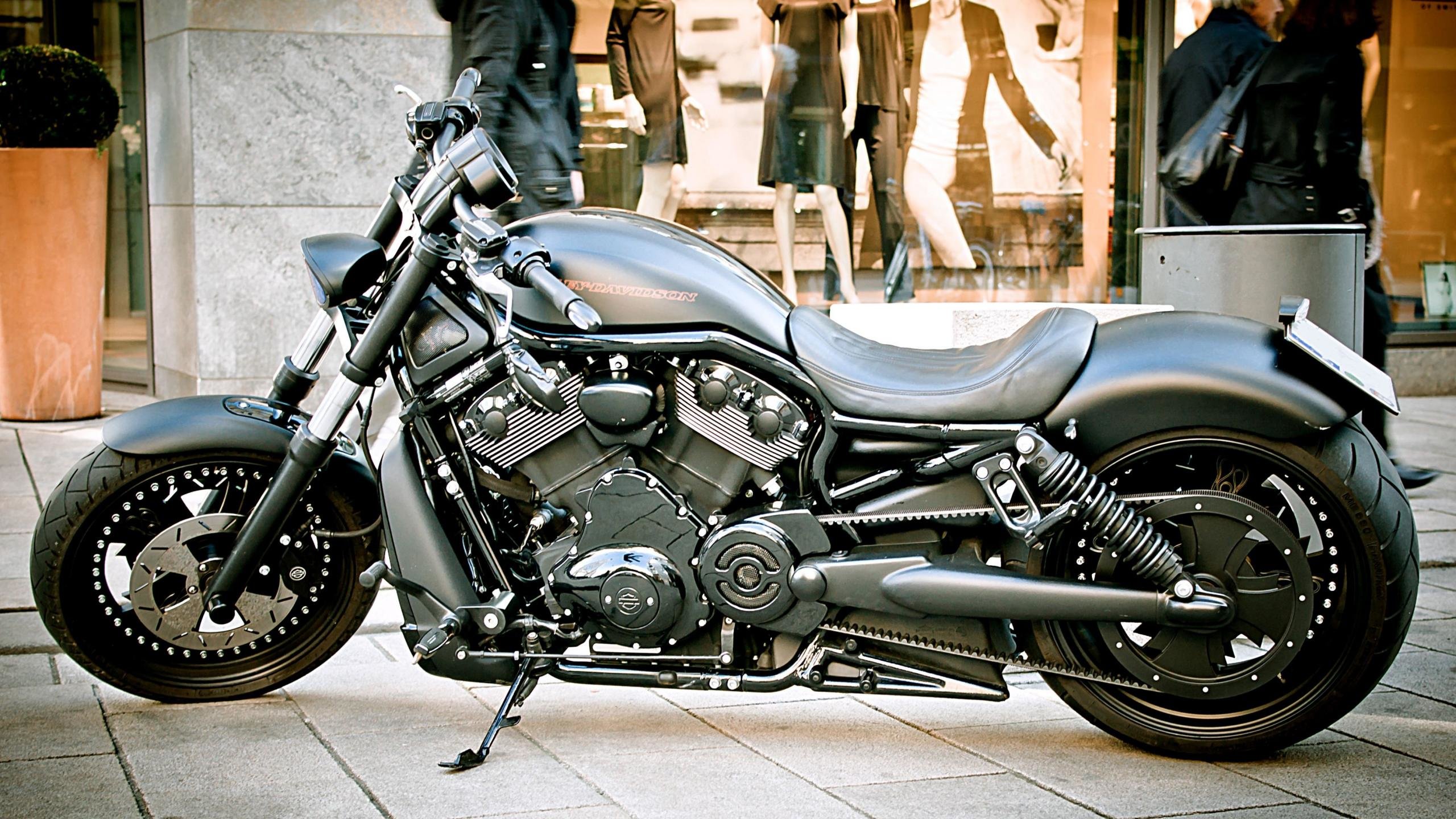 Awesome Harley Davidson free wallpaper ID:478185 for hd 2560x1440 computer