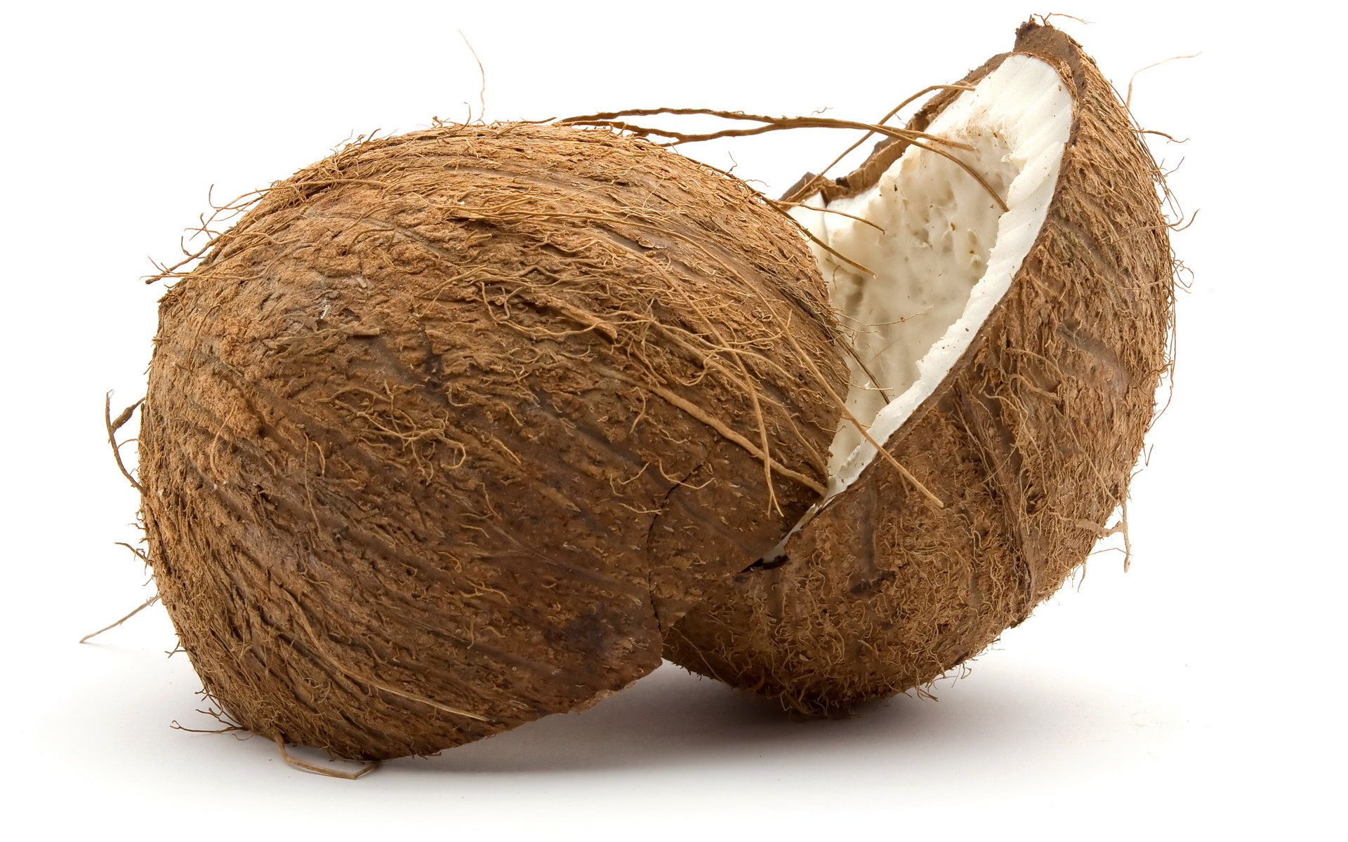 Free Coconut high quality background ID:402974 for hd 1920x1200 desktop