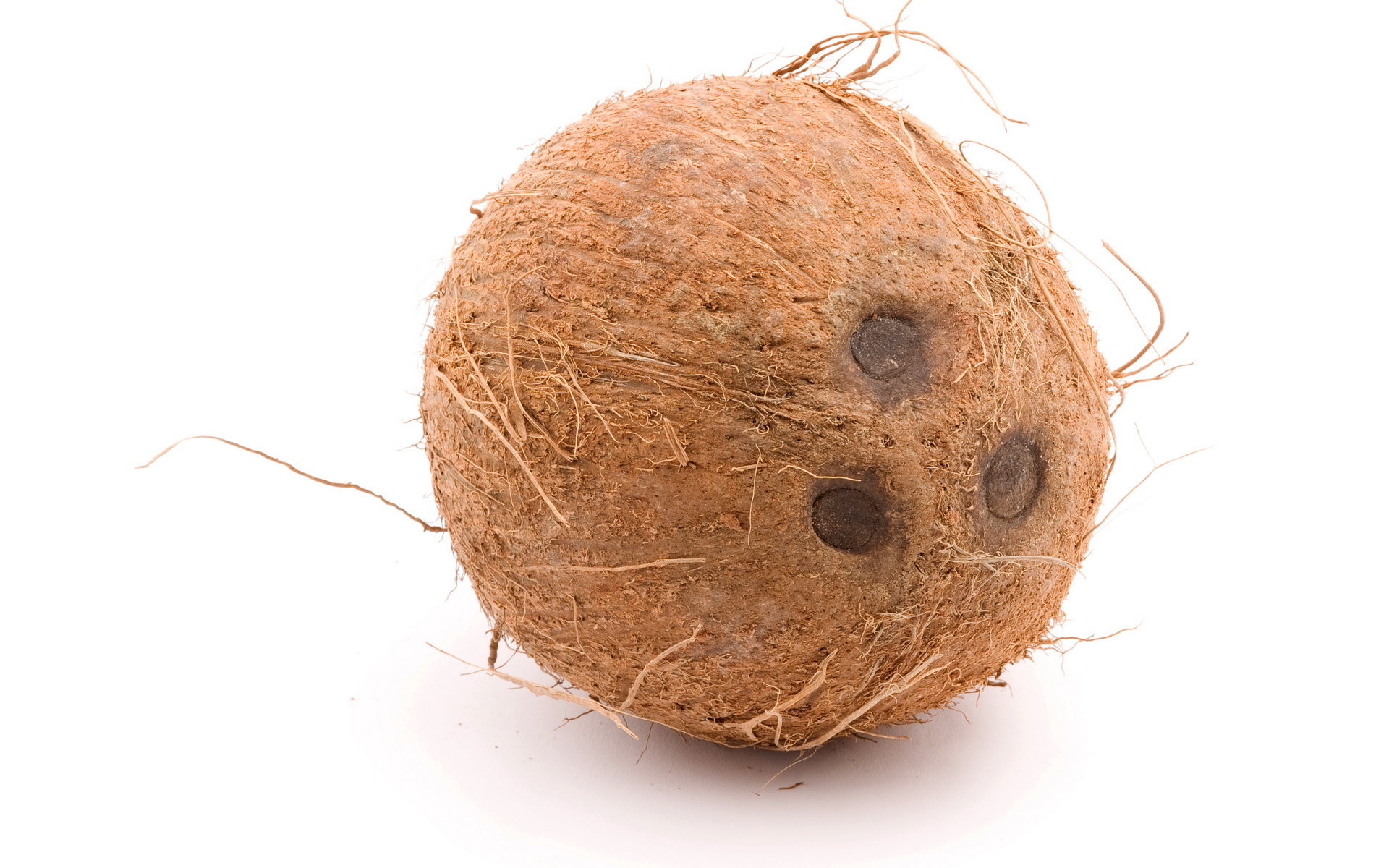 Free Coconut high quality wallpaper ID:402973 for hd 1920x1200 computer