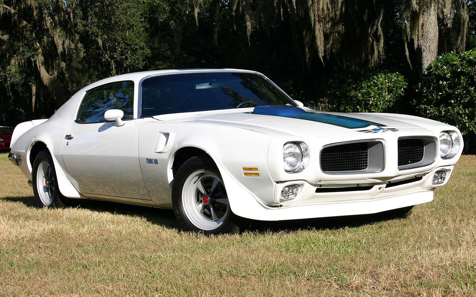 Download hd 1920x1200 Pontiac Trans Am computer background ID:256616 for free