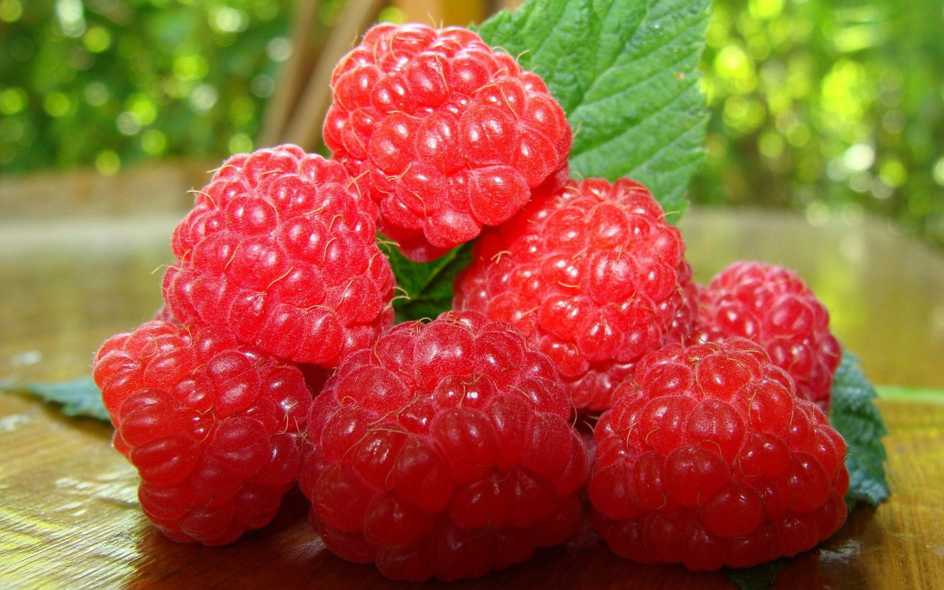 Download hd 1920x1200 Raspberry computer background ID:50074 for free