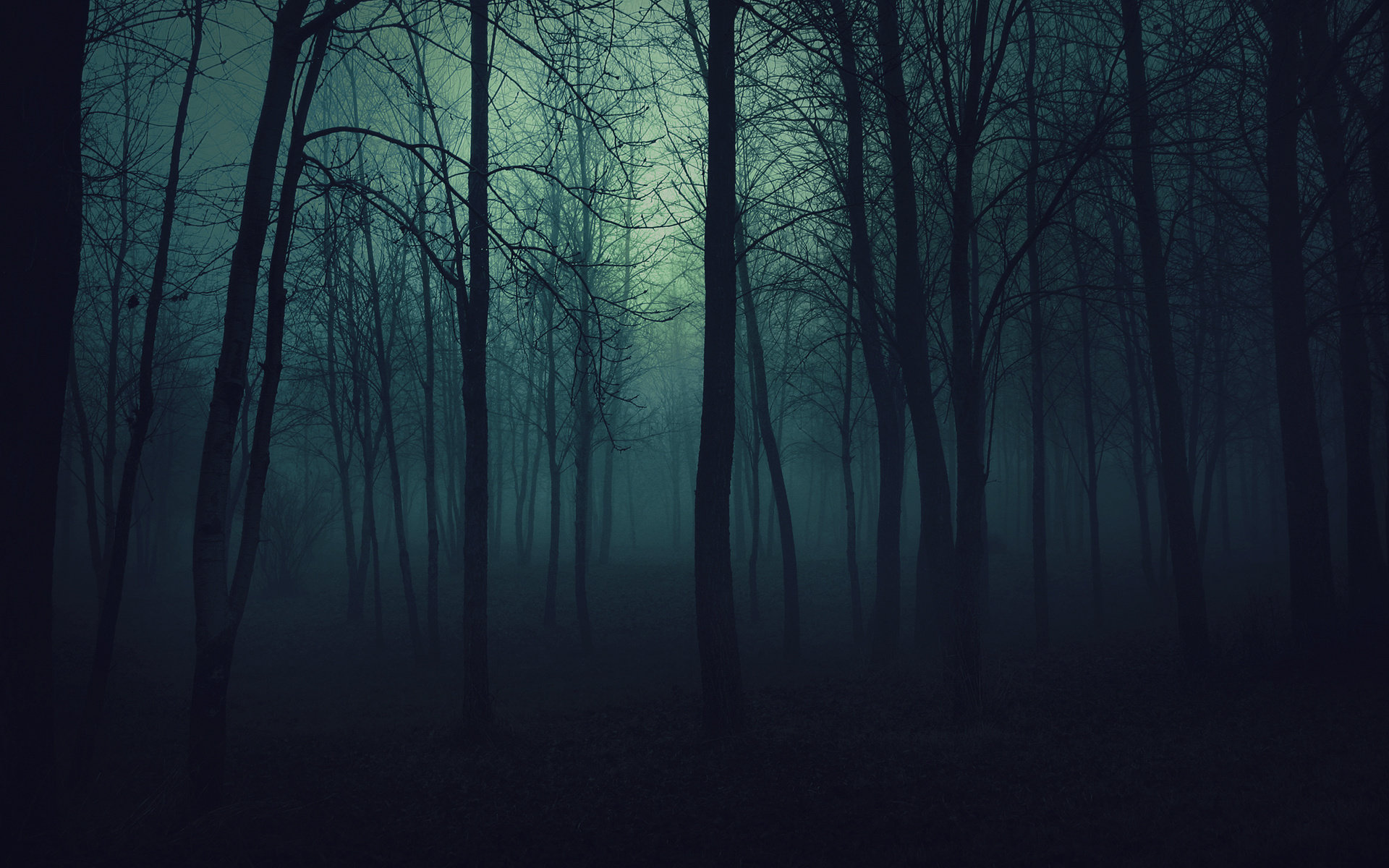 Download hd 1920x1200 Dark forest computer wallpaper ID:90343 for free