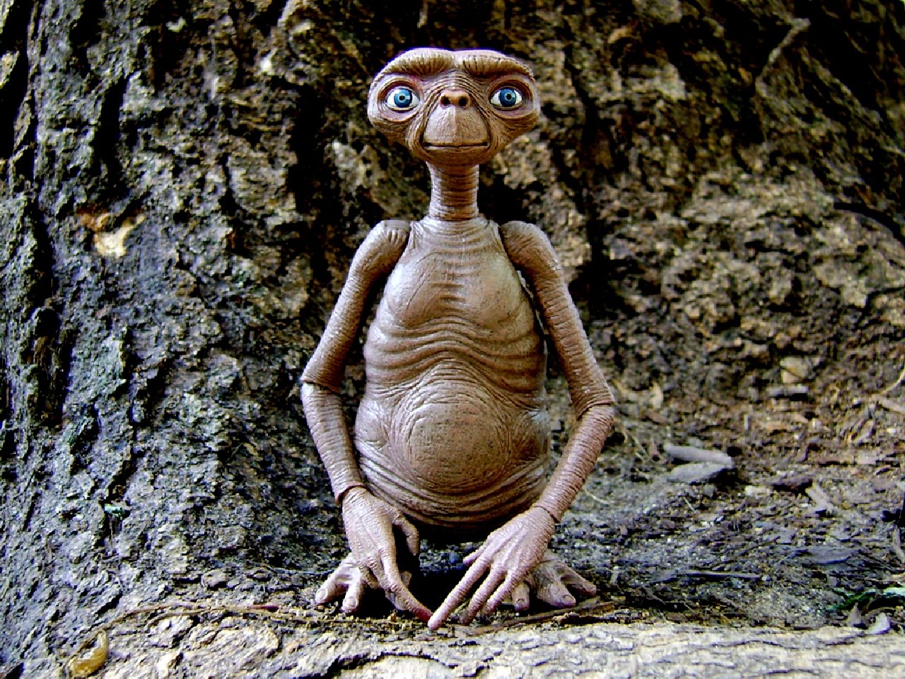 Download hd 1280x960 E.T. The Extra-Terrestrial desktop background ID:47095 for free