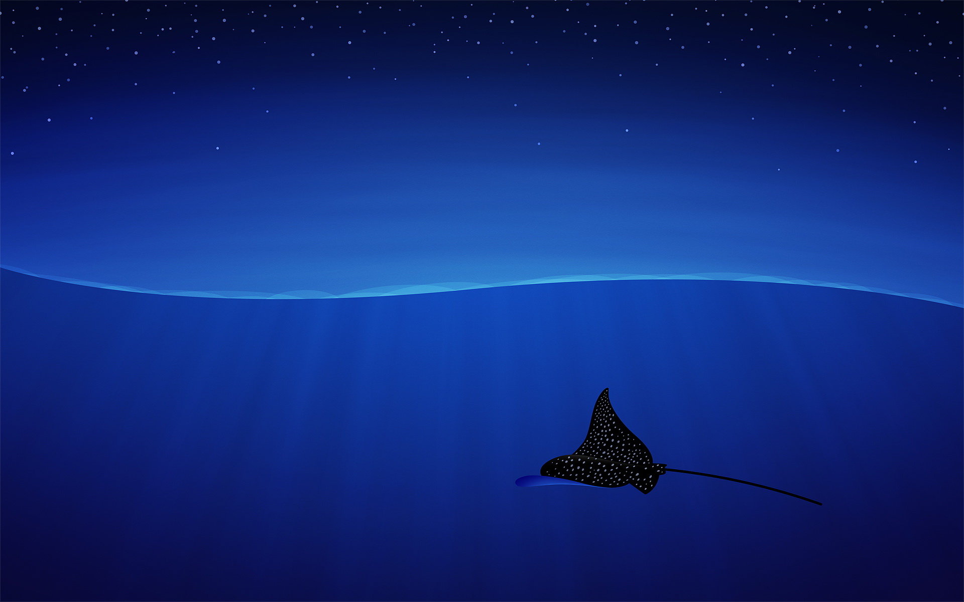 Download hd 1920x1200 Manta Ray PC background ID:346065 for free