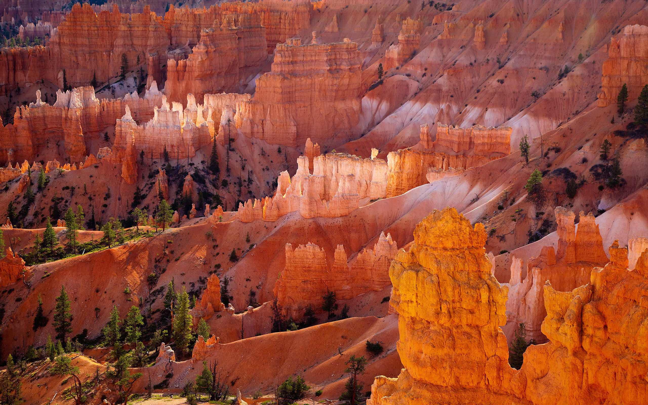 Free download Bryce Canyon National Park background ID:358135 hd 2560x1600 for desktop