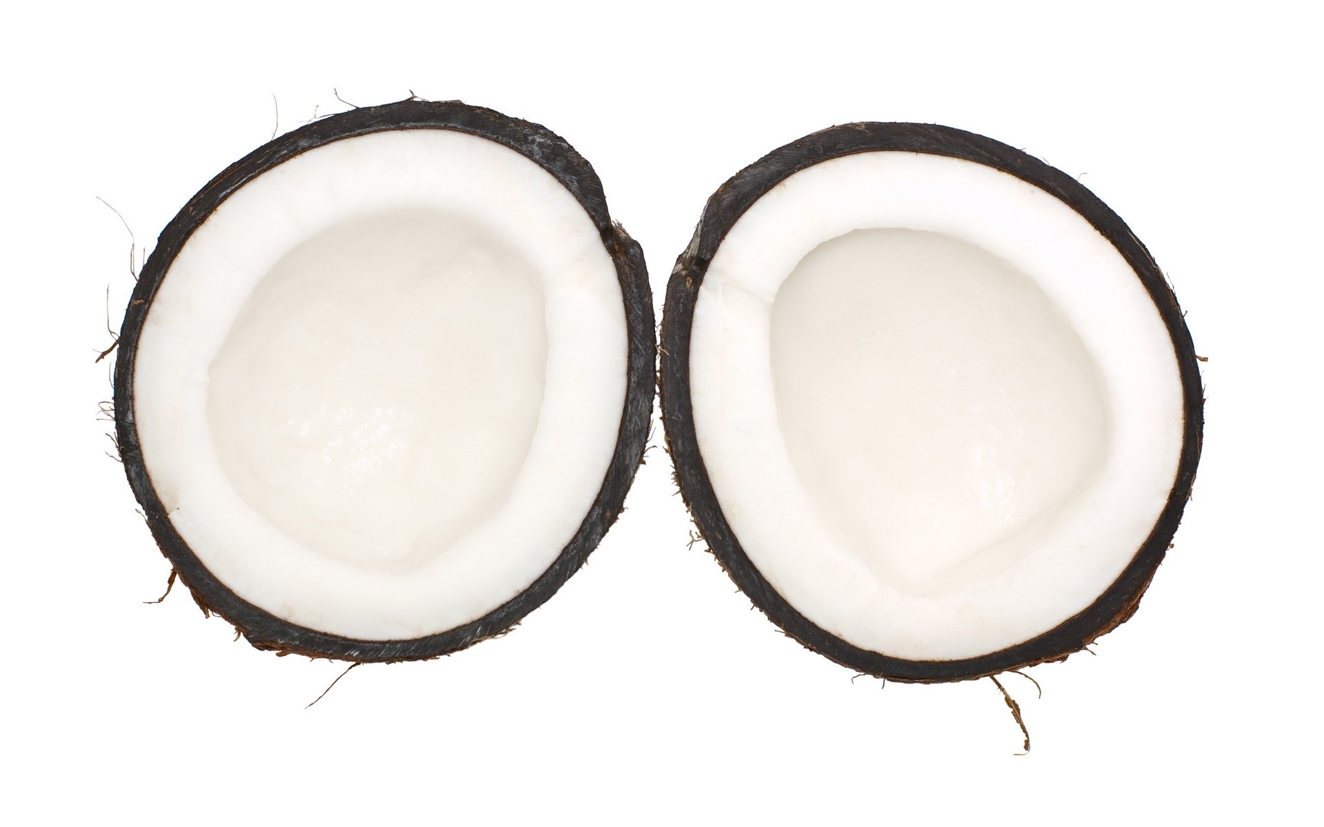 Free Coconut high quality background ID:402965 for hd 1920x1200 PC