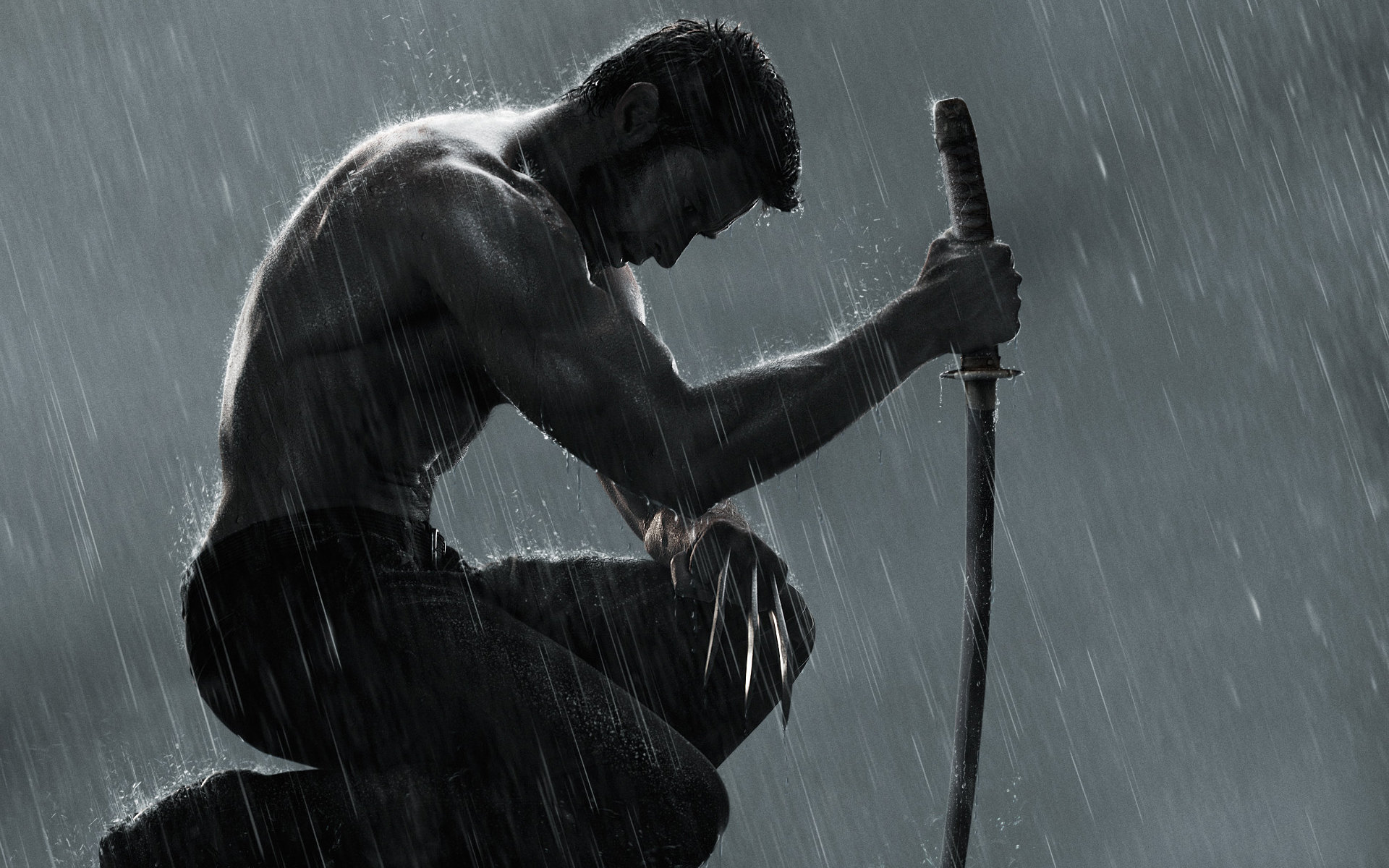 Free The Wolverine high quality background ID:164686 for hd 1920x1200 PC