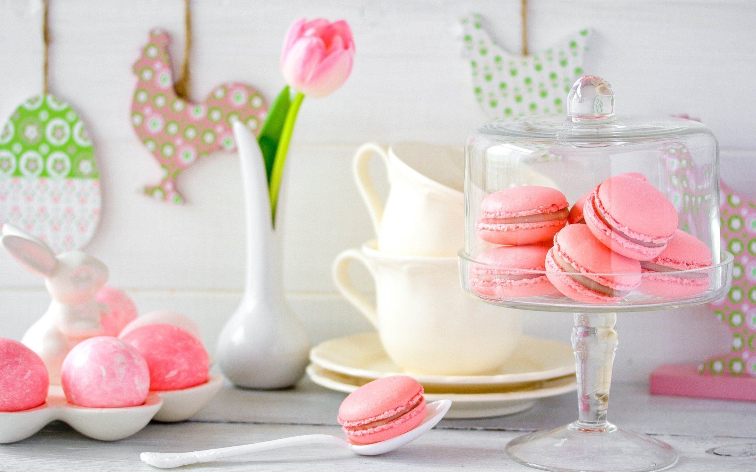Free download Macaron background ID:420967 hd 2560x1600 for PC