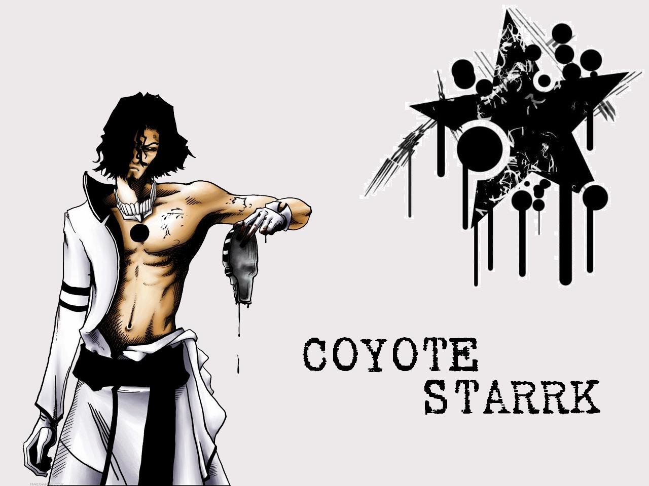 Download hd 1280x960 Coyote Starrk computer background ID:417719 for free