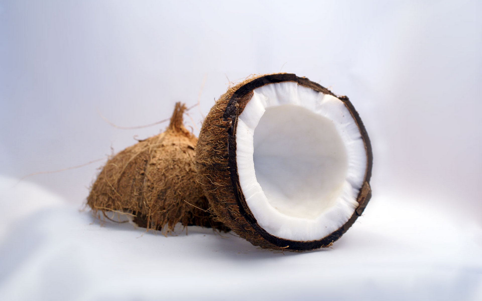 Download hd 1920x1200 Coconut computer background ID:402966 for free