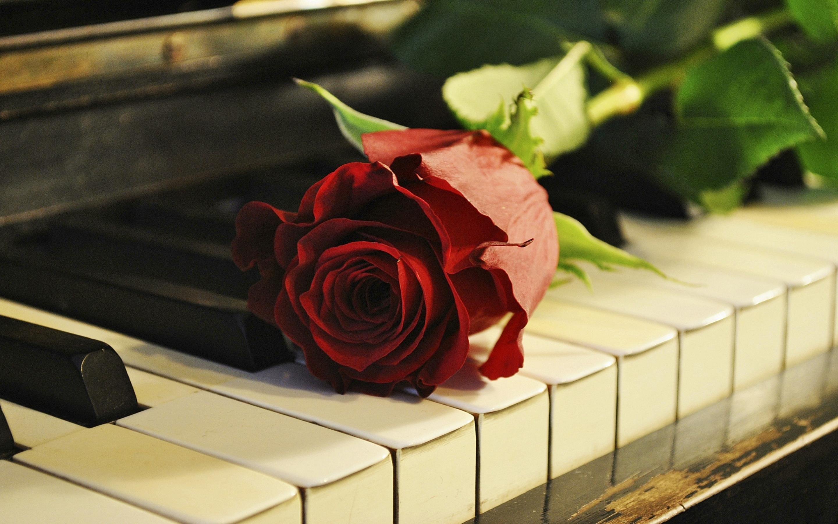 Free download Piano wallpaper ID:391492 hd 2880x1800 for PC