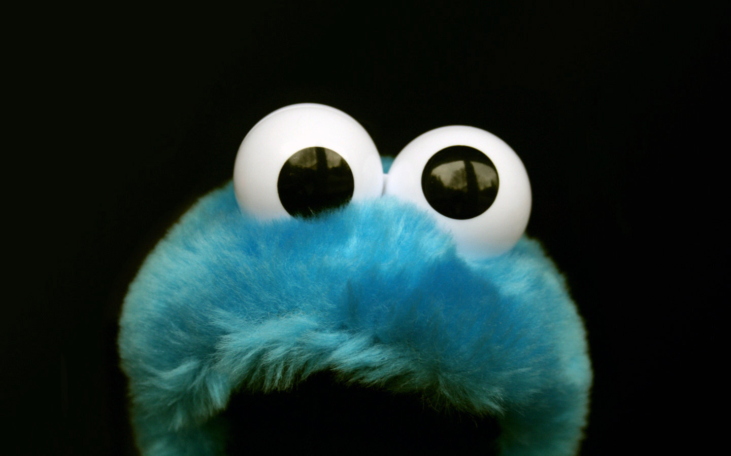 Best Cookie Monster wallpaper ID:374502 for High Resolution hd 1440x900 desktop