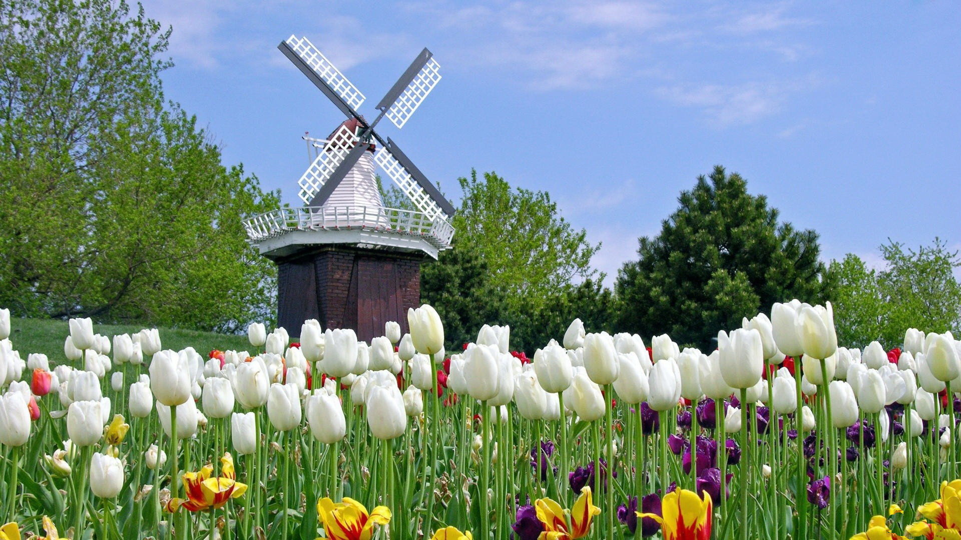 Download full hd Windmill computer background ID:482507 for free