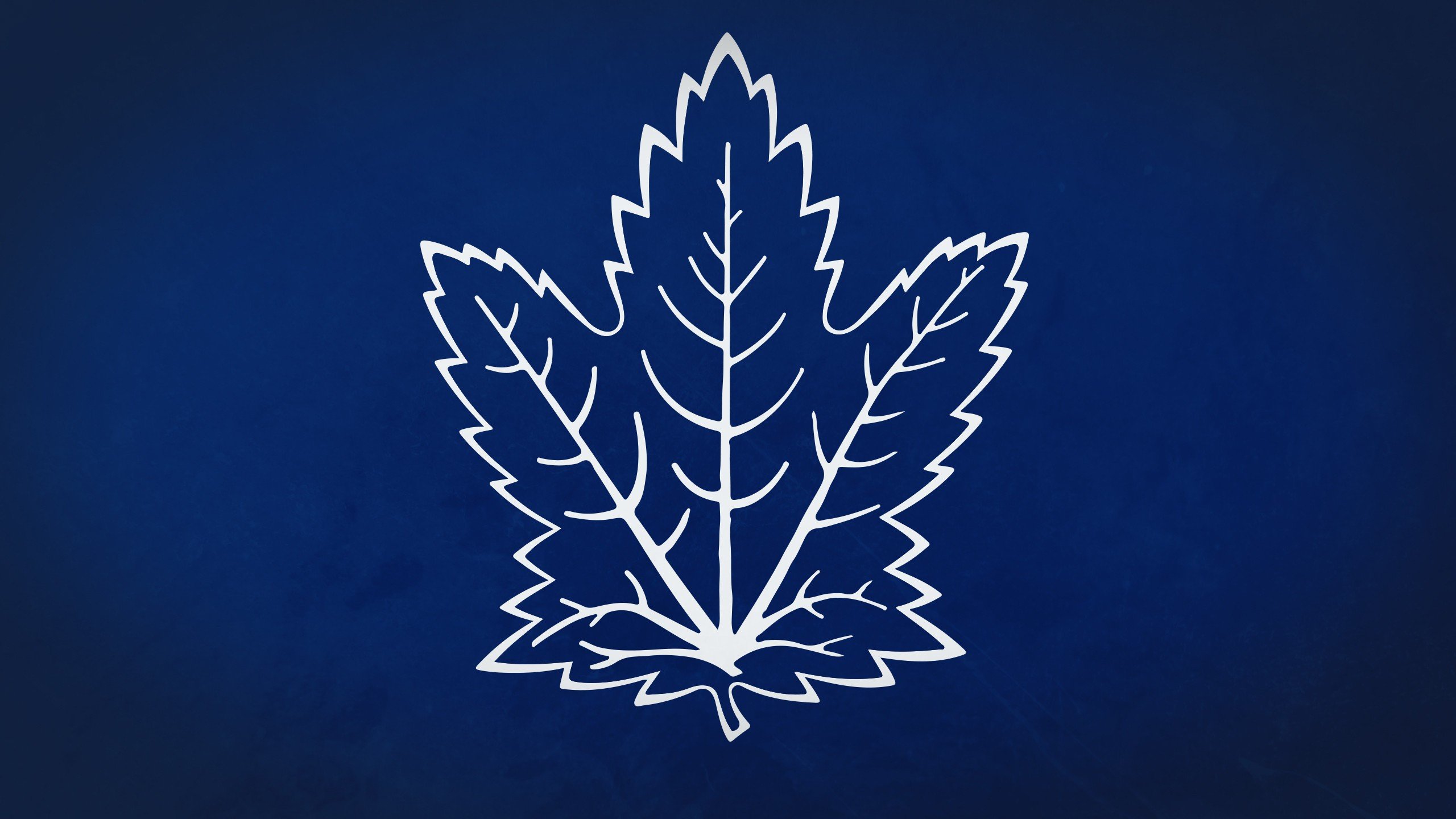 Free download Toronto Maple Leafs background ID:283308 hd 2560x1440 for desktop