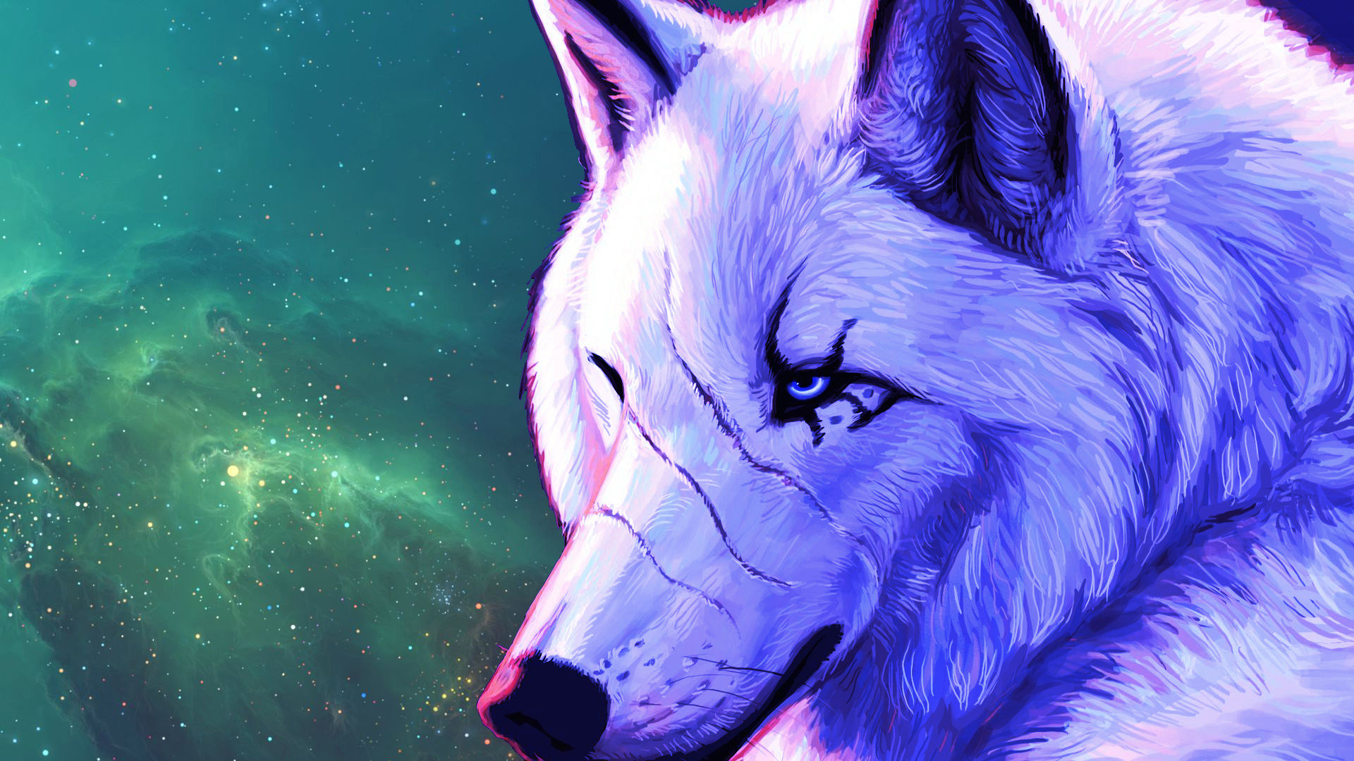 Best Wolf background ID:117722 for High Resolution full hd 1920x1080 PC