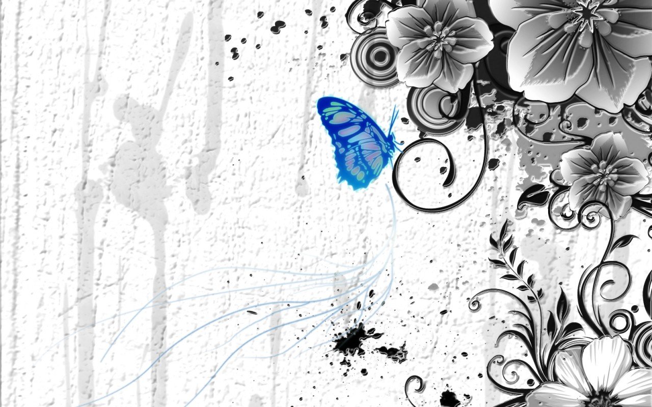 Free Butterfly high quality background ID:167575 for hd 1280x800 computer